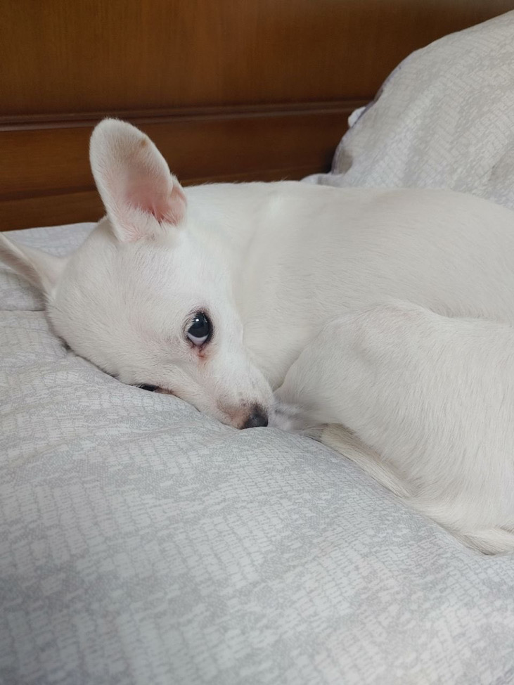 윤토리🐶