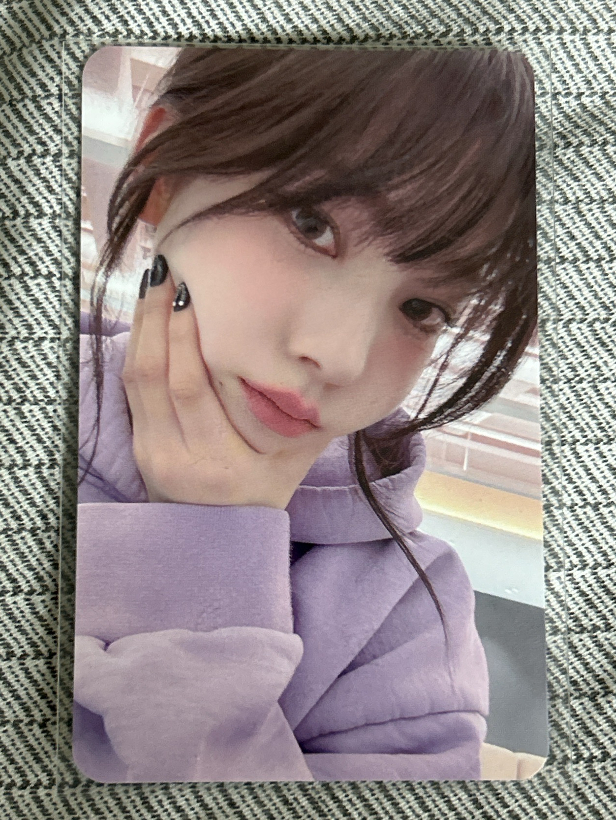 Drama ia 簽售卡 簽售柚 葡萄柚