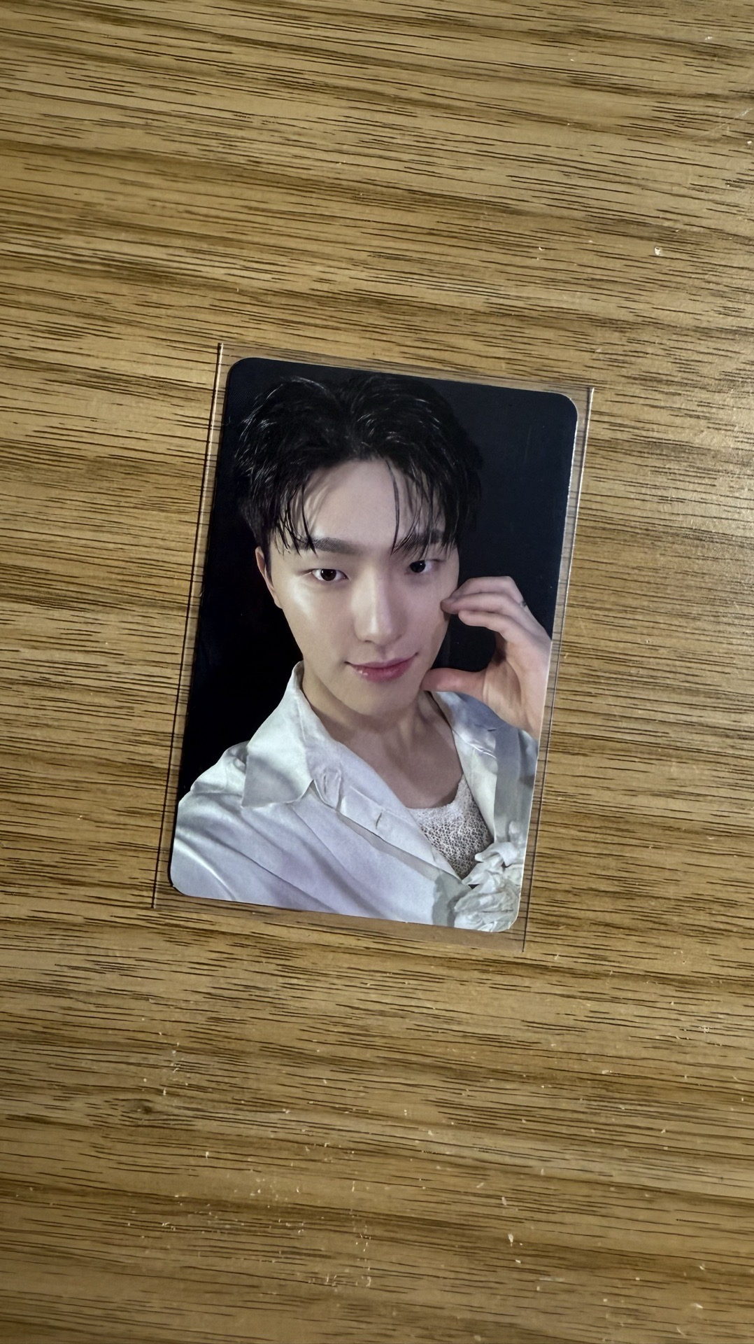 seventeen Dino Mini12 專輯卡