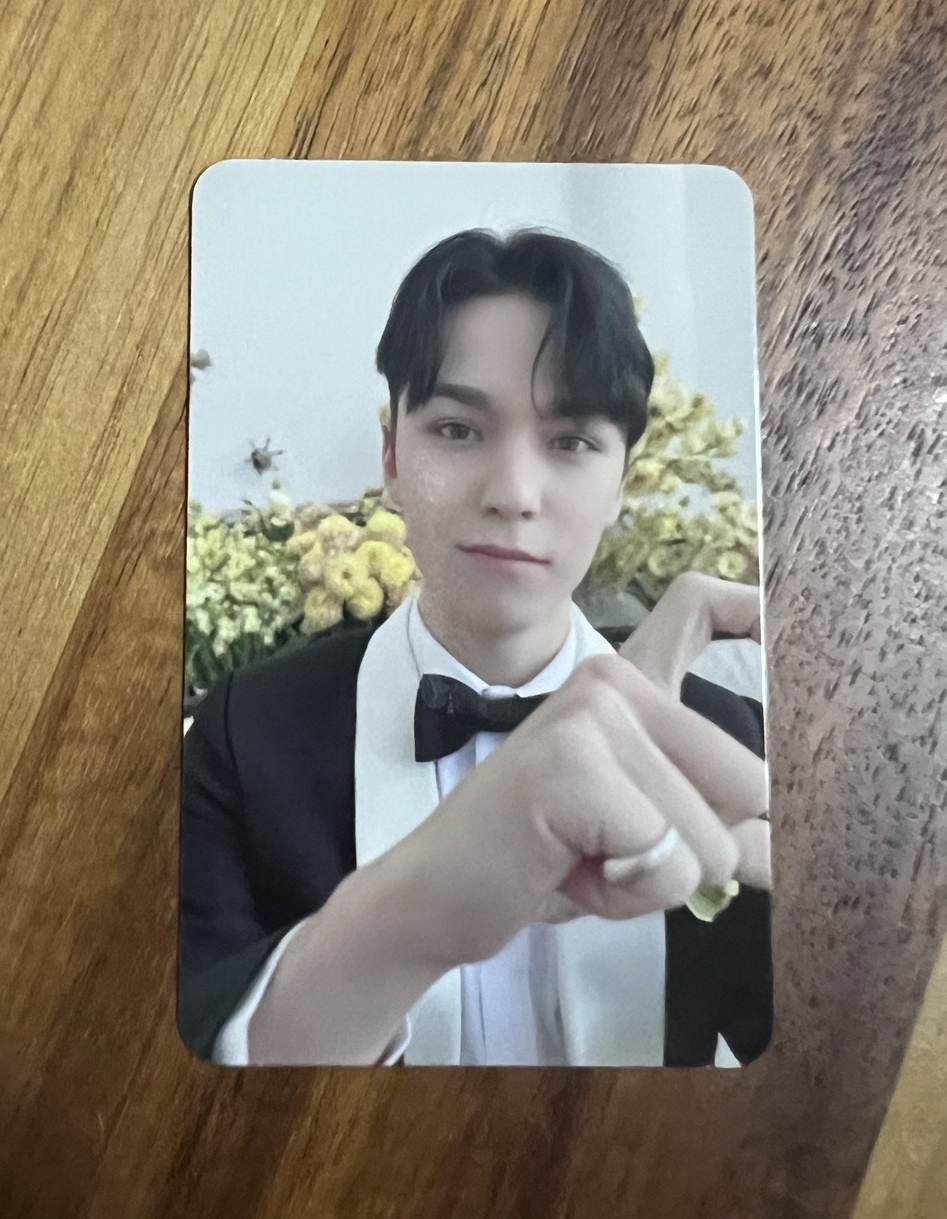 迷十克拉盤Vernon 