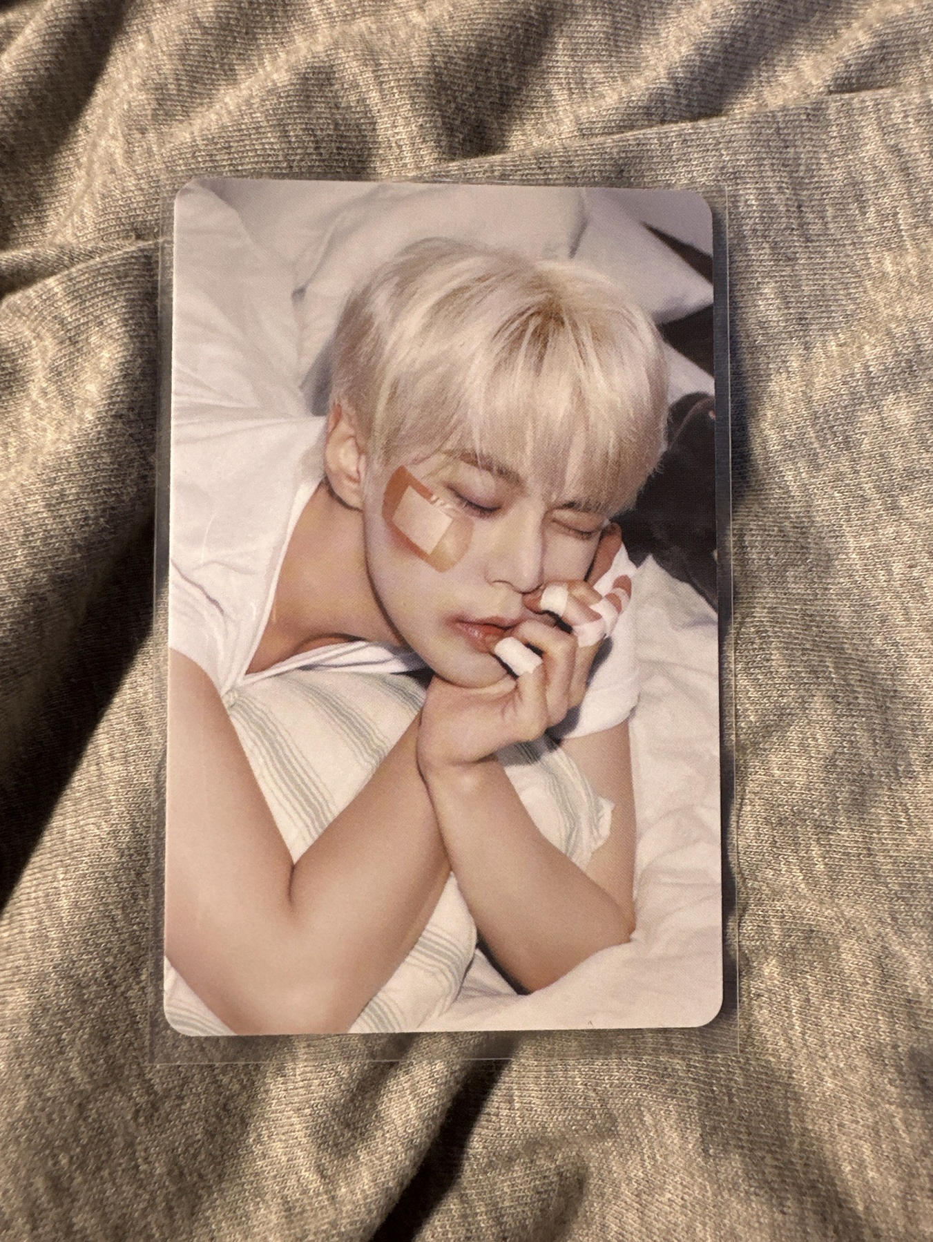 金道英 年曆隨機卡