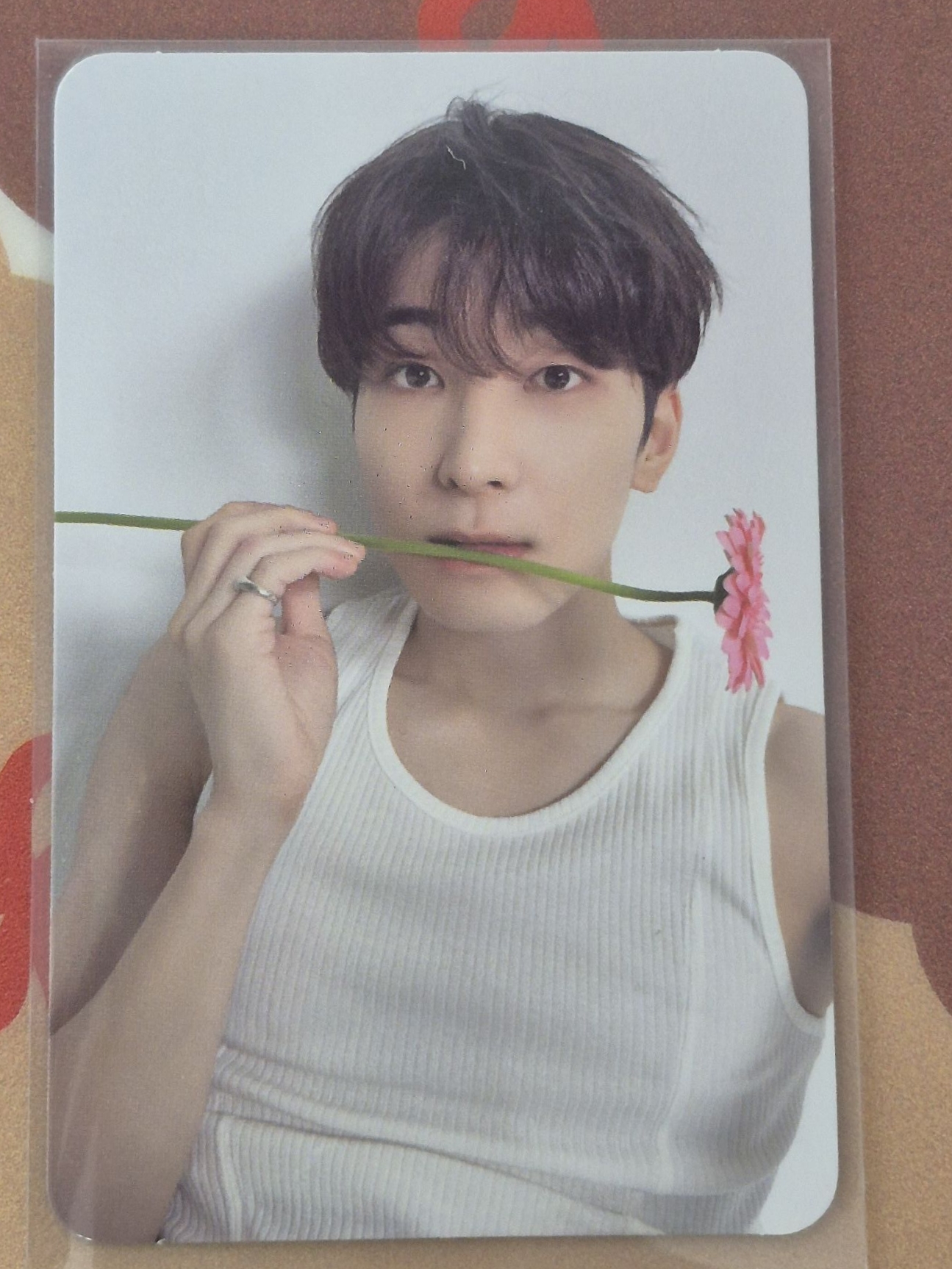 全圓佑 | 咬花小咪