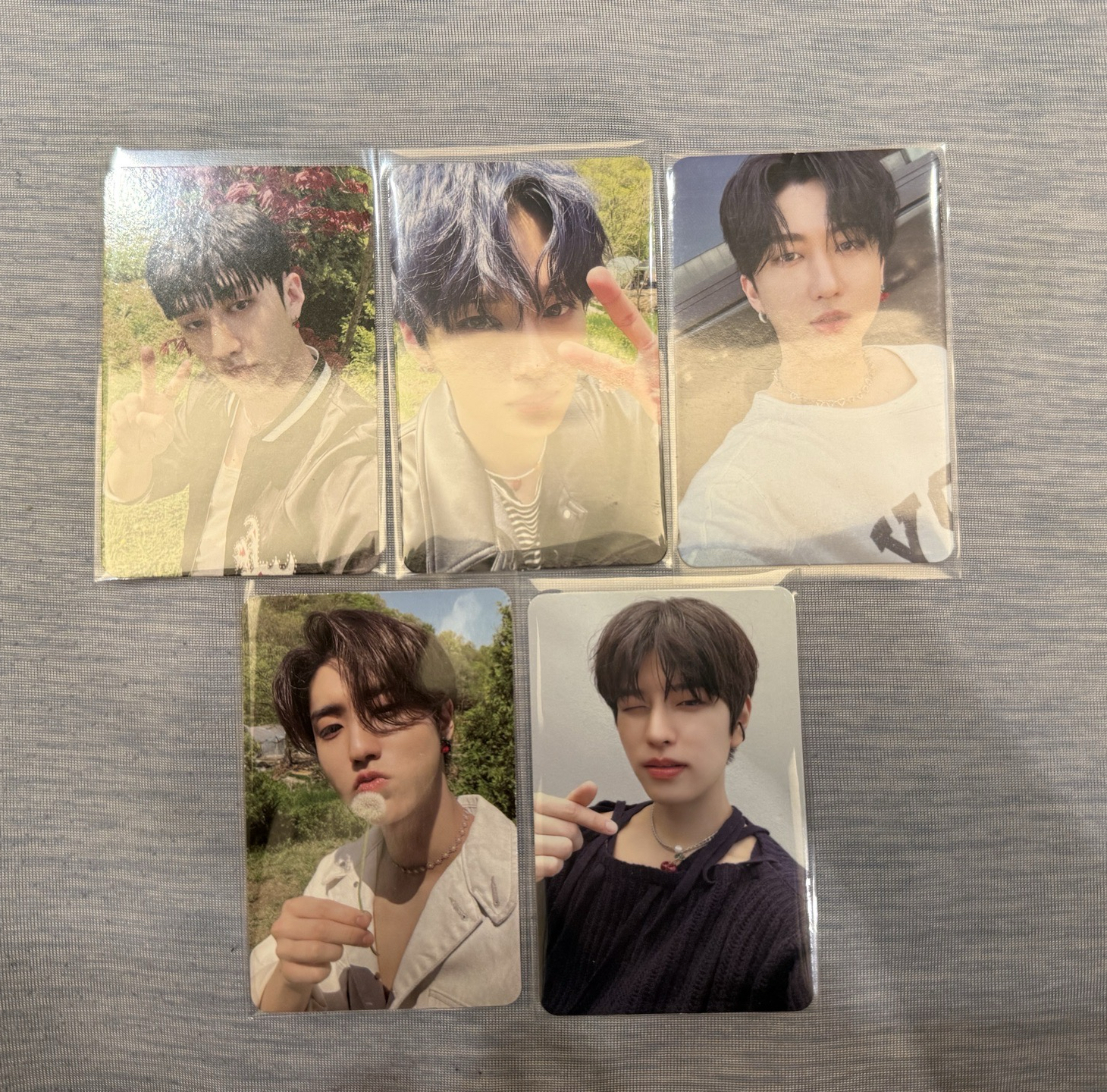 maxident 粉底黑字專卡 燦旻彬城玟