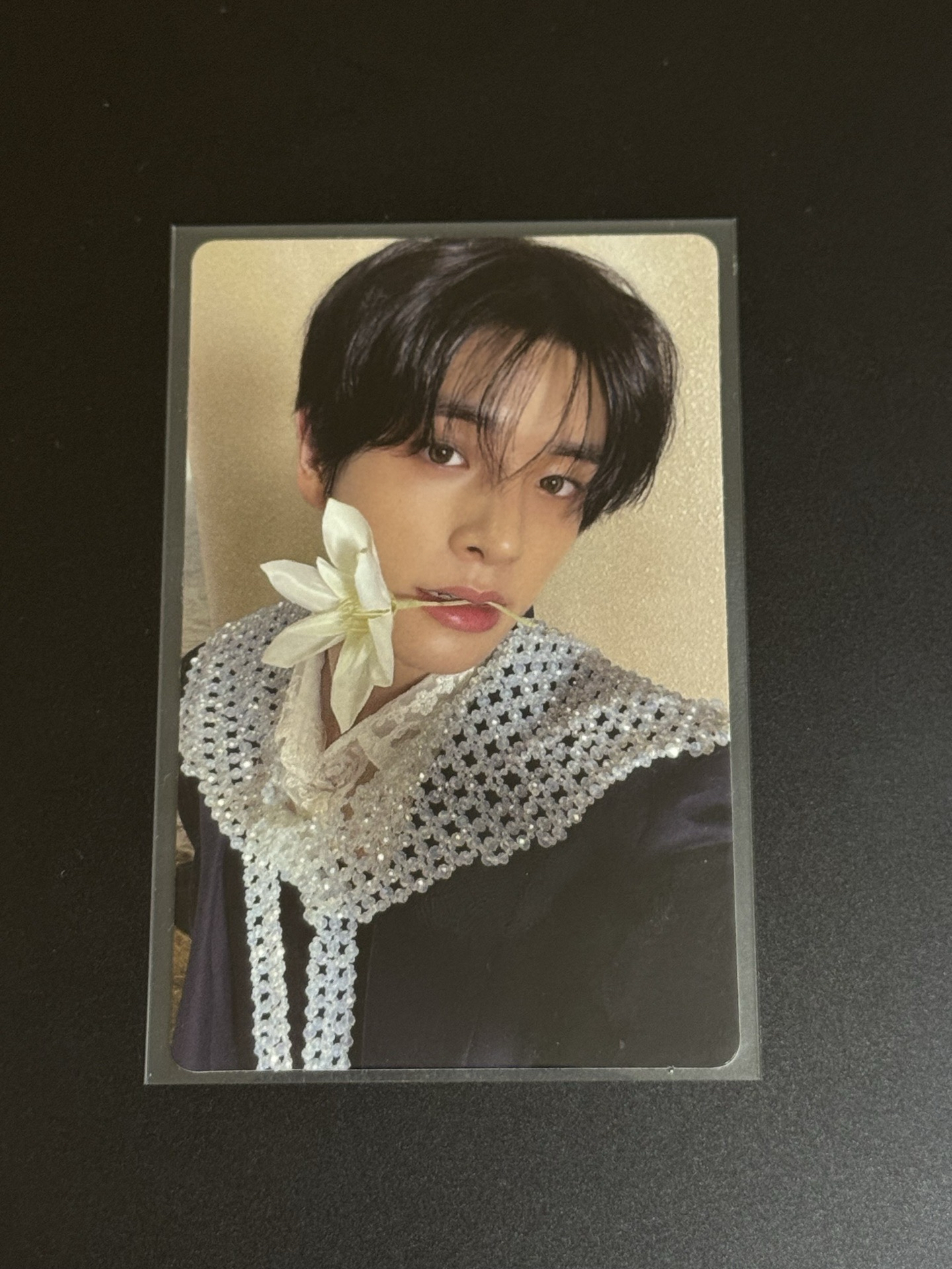 迷五專卡-載倫5