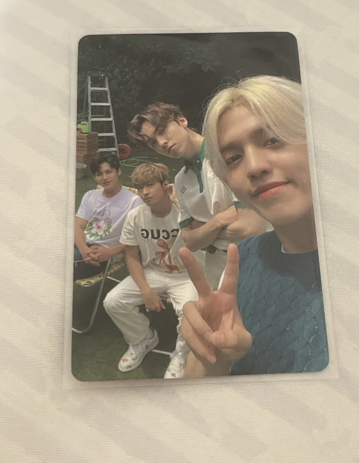 21‘DICON 卡冊小卡 泡隊