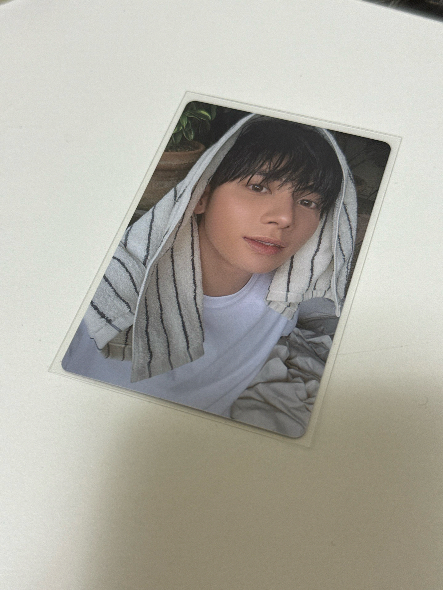 迷七 單封angle版 專卡 顯