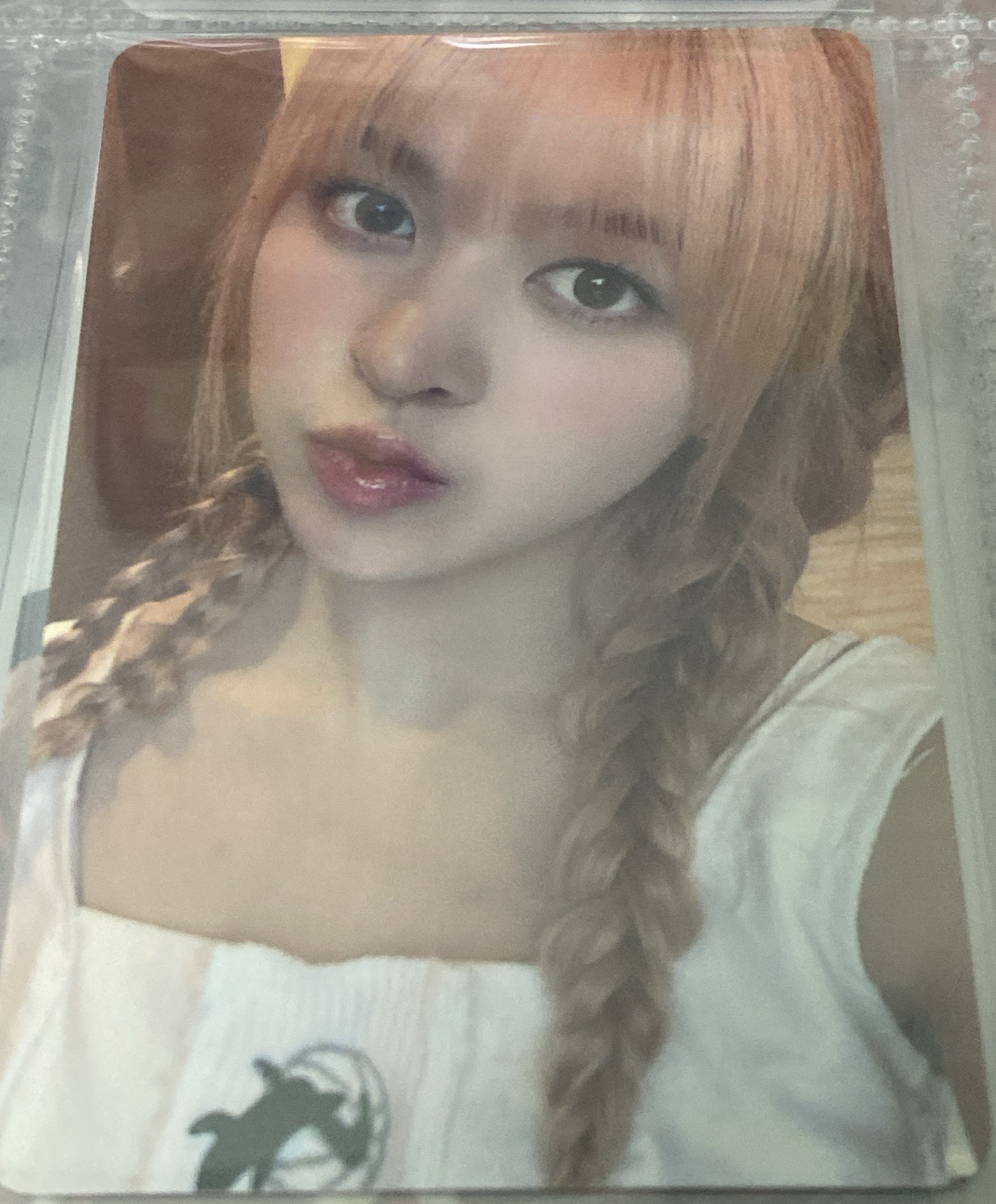 仲夏夜 wm 線下 1.0 簽售卡 