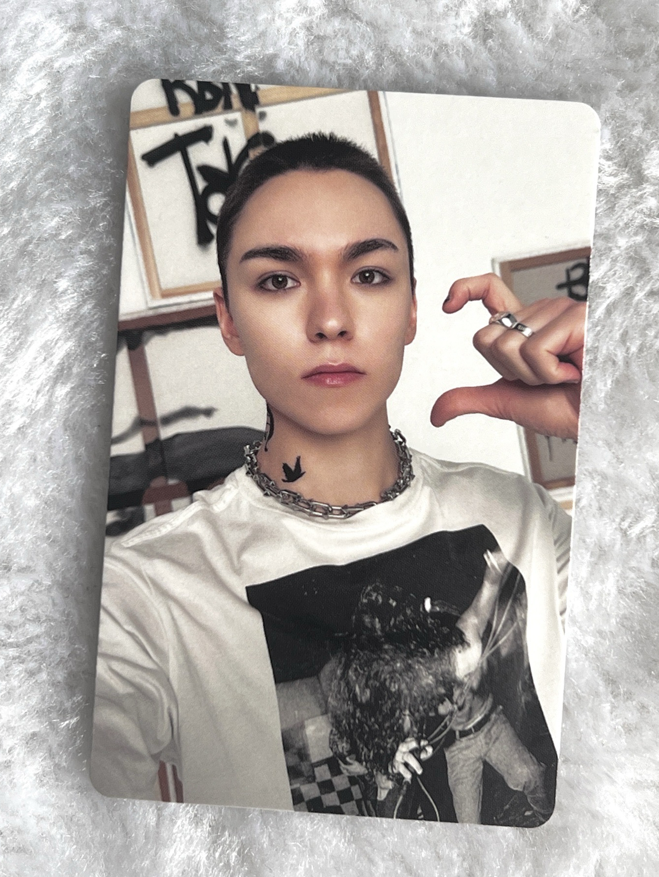 Vernon正五克拉盤卡