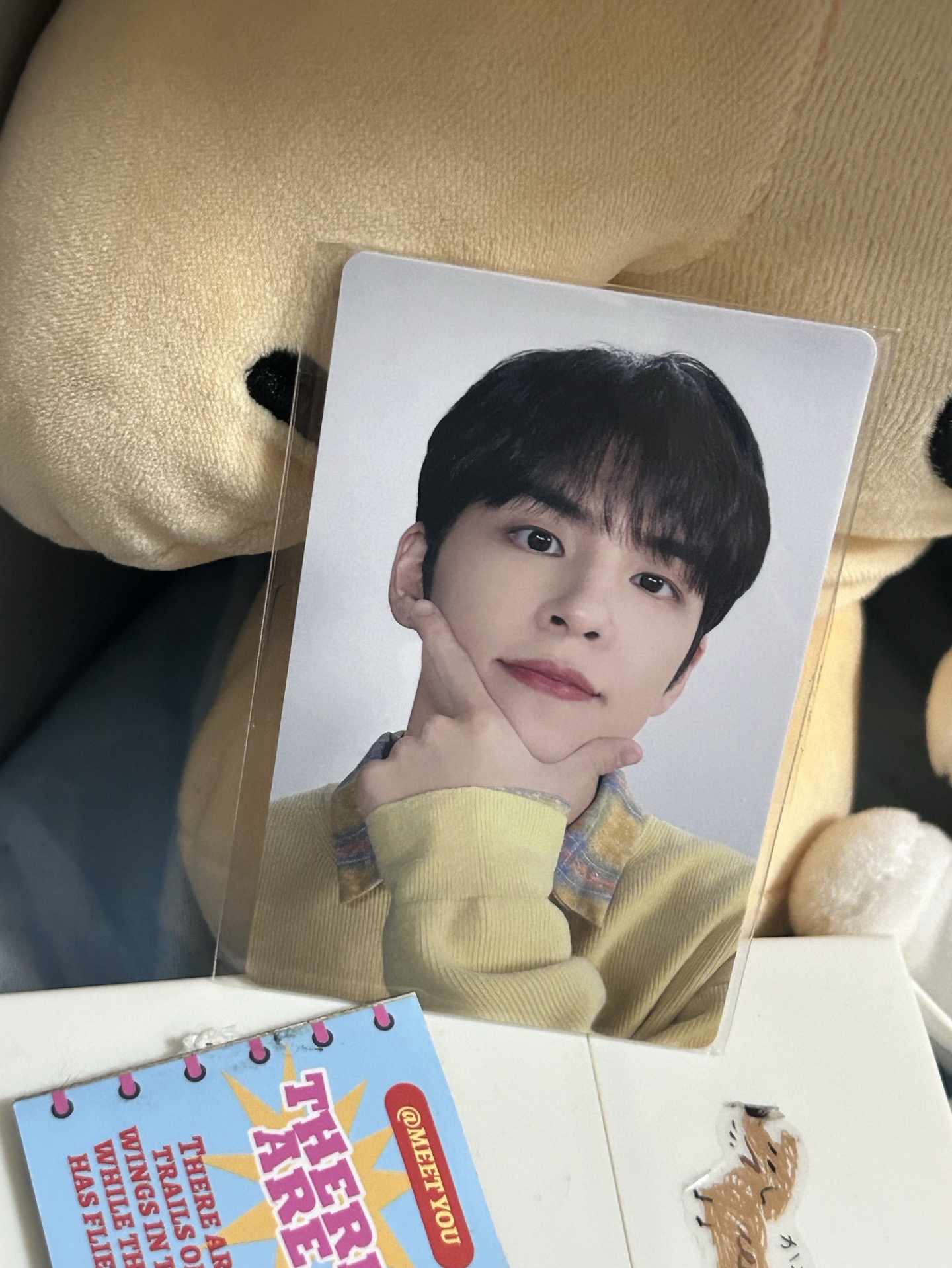 Day6 元弼🐰日周滿額卡