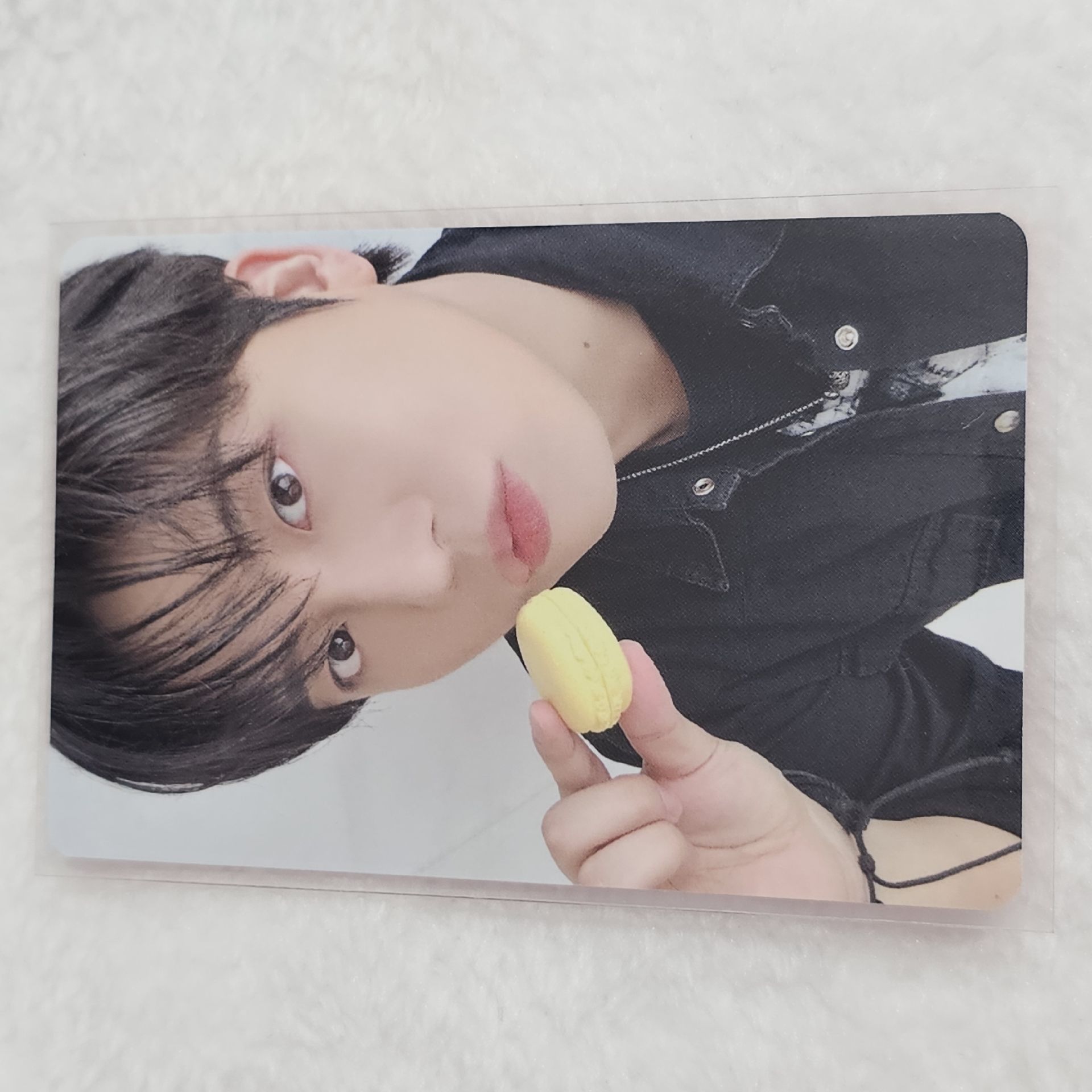 ✨️鍾馬卡龍卡