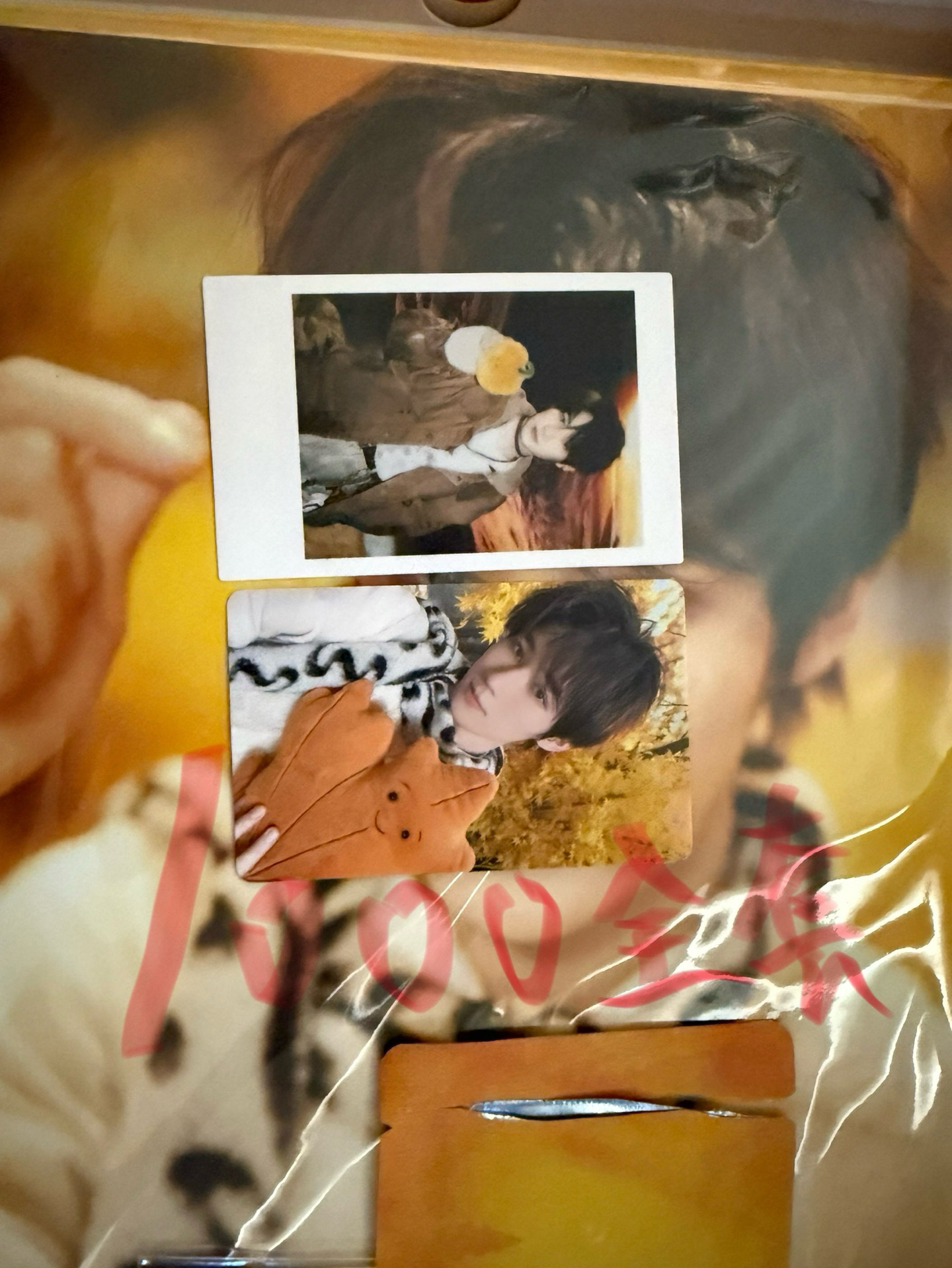 張真源秋日記憶全套（🍀）