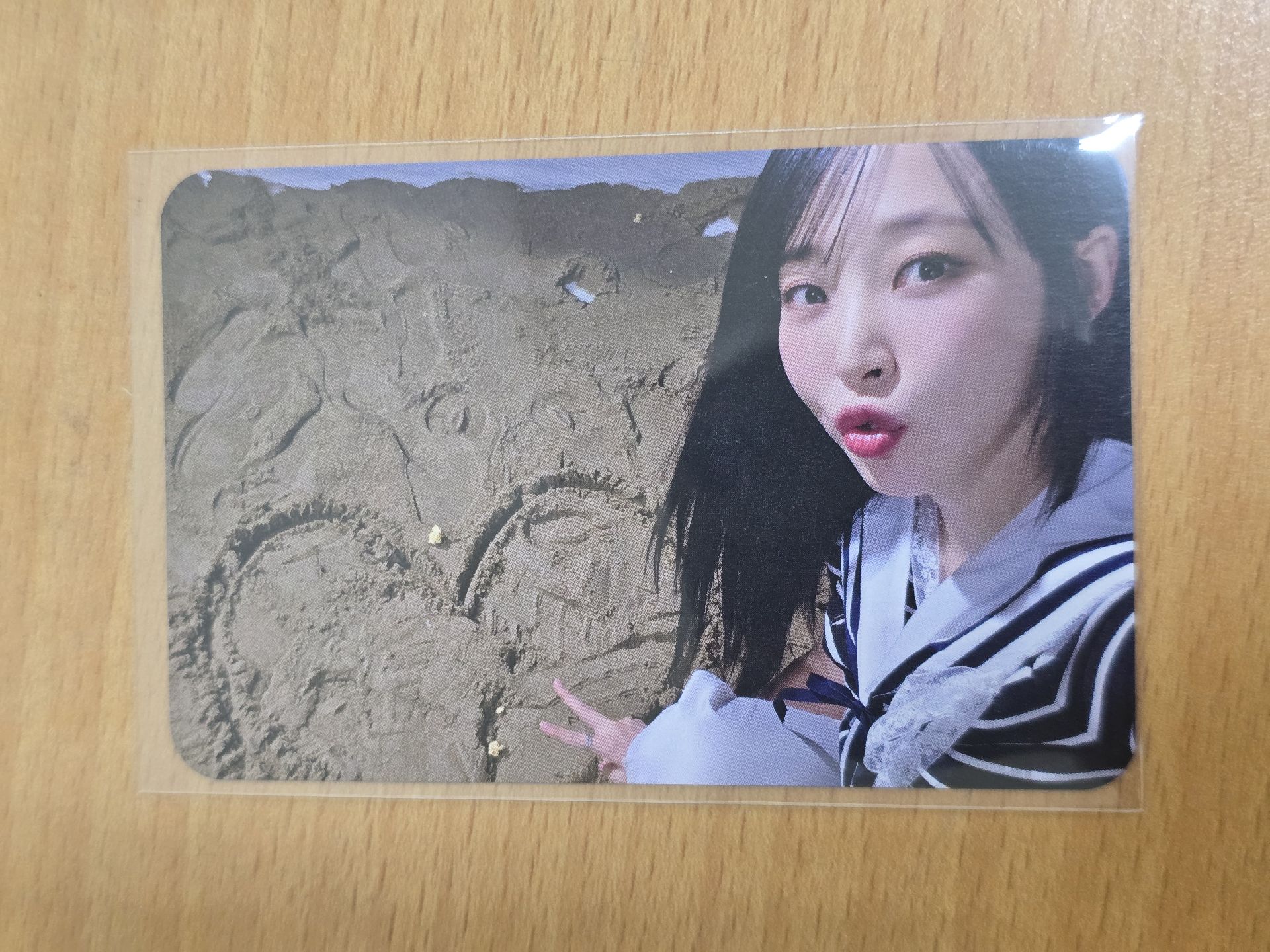 Seanema 日本入場卡