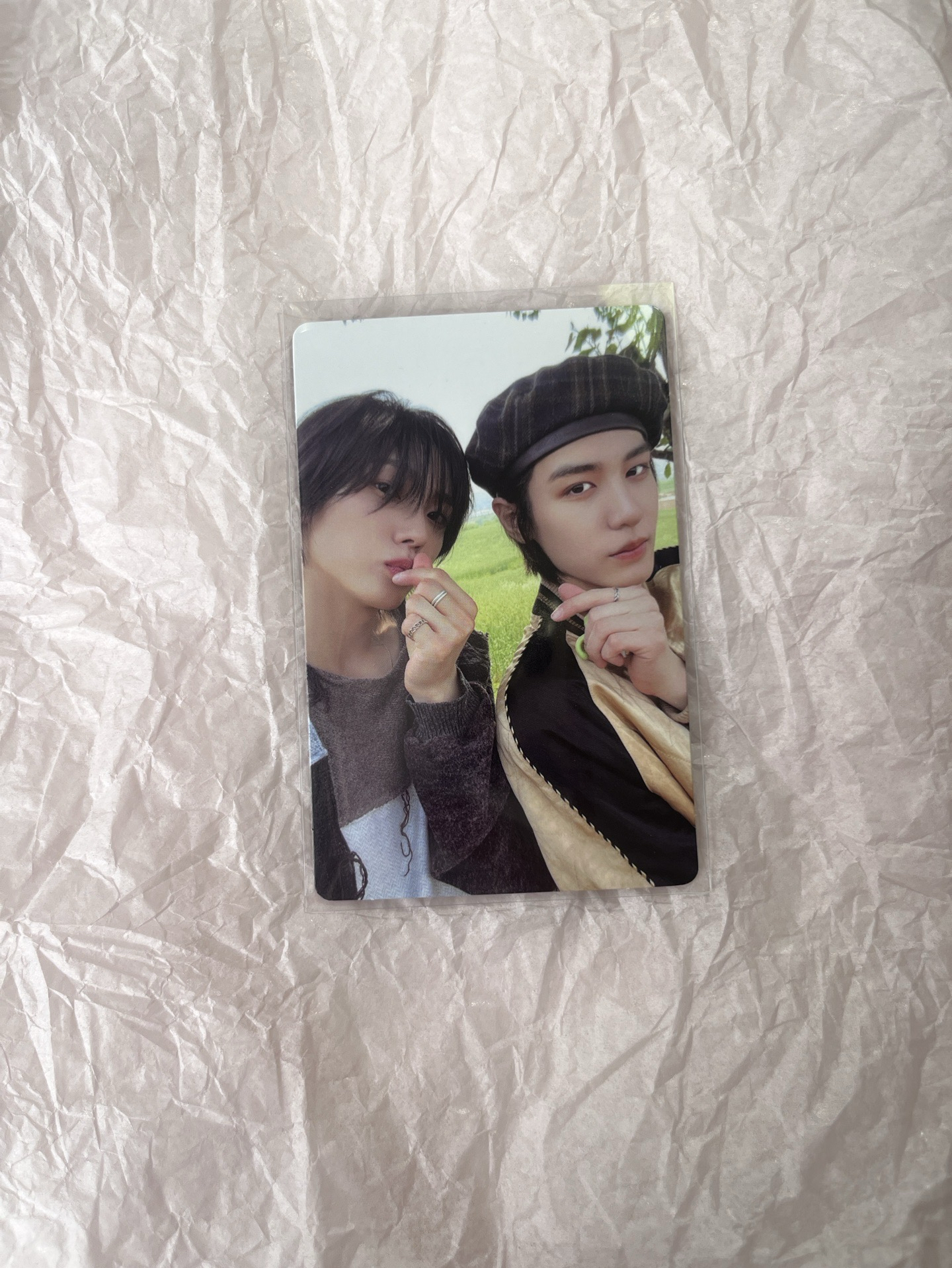 WHY.. 專輯卡 雙人卡（🐱🦁