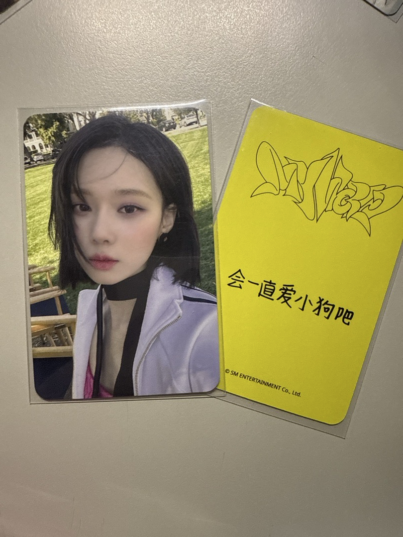 aespa Winter 星河草地冬 中文卡背