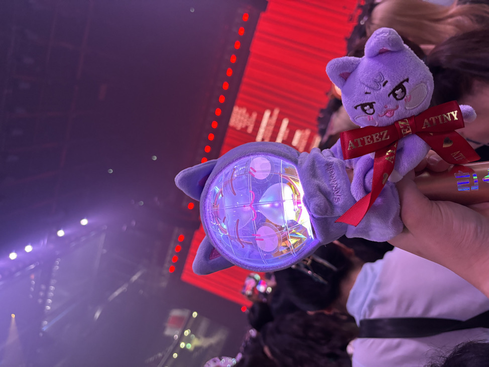 笨狗🐈🐈‍⬛🦮🐩