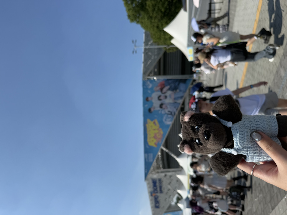 Ruu
