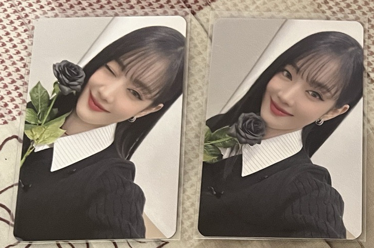 單售（黑玫瑰，先私訊問餘量）