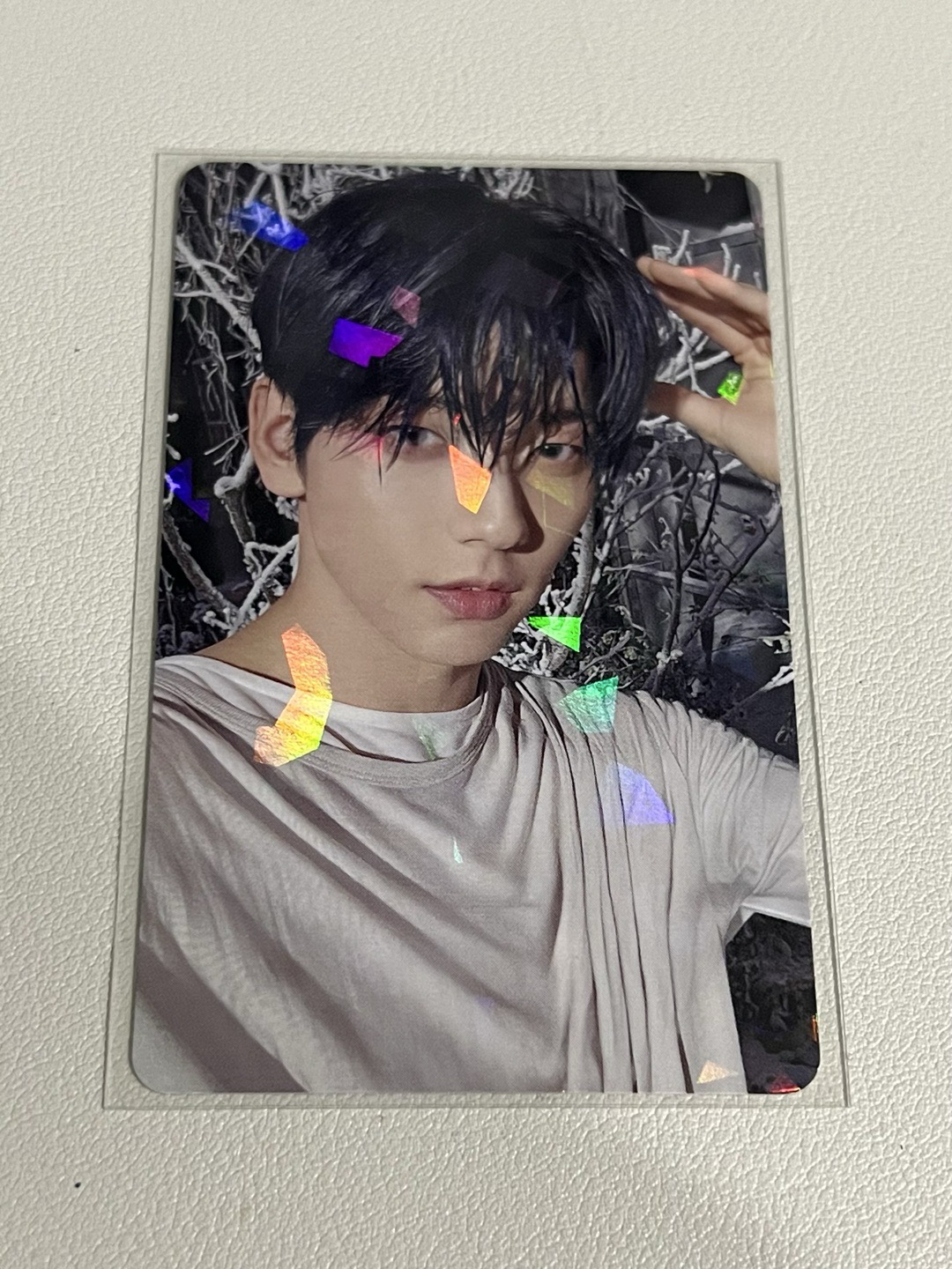 迷七日咖單封特典彬