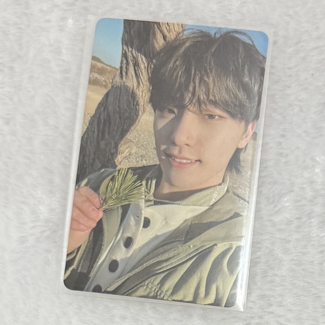 SEVENTEEN FACE THE SUN 正規四 Weverse 特典 Dino