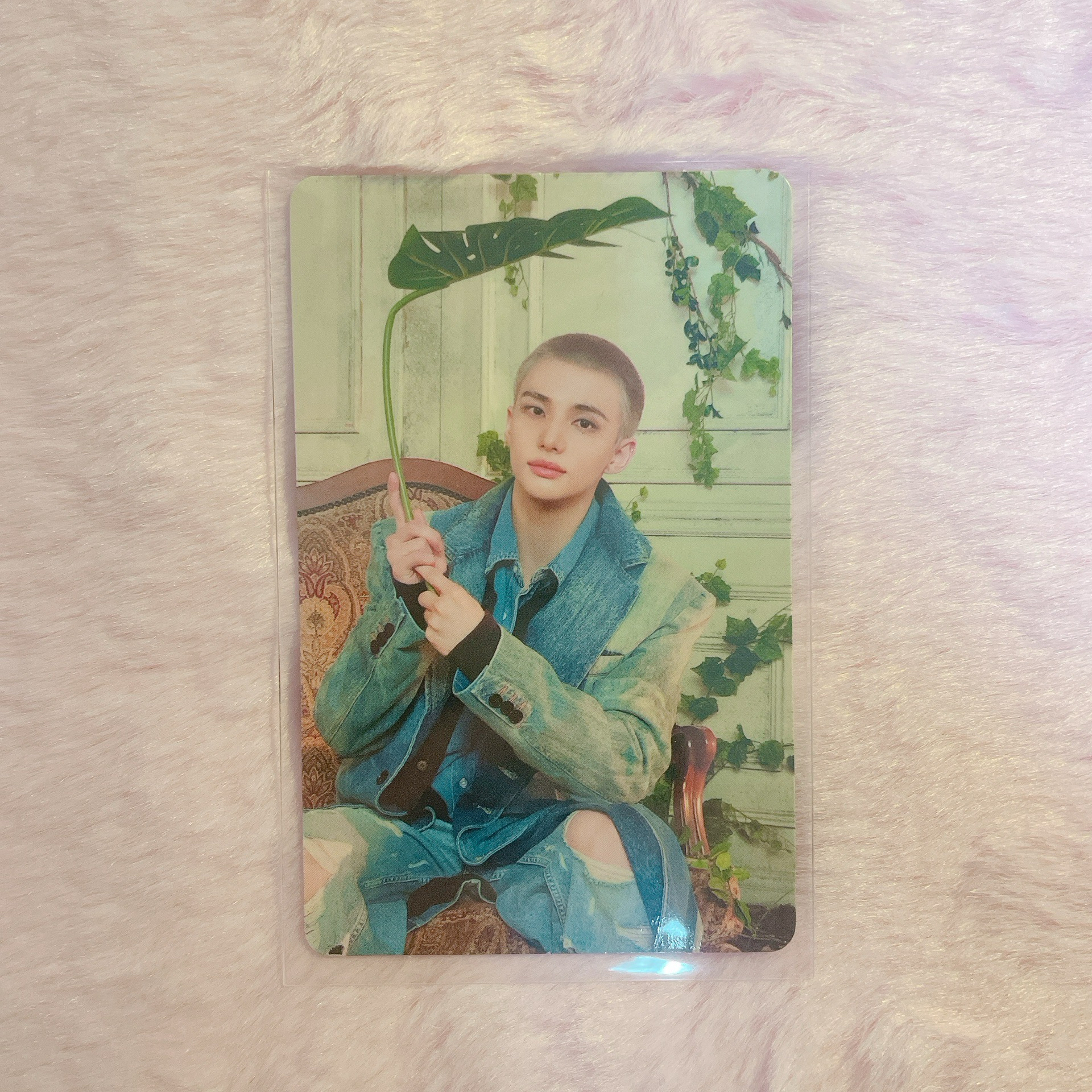 Hollow 初回限定A盤專卡 鉉辰