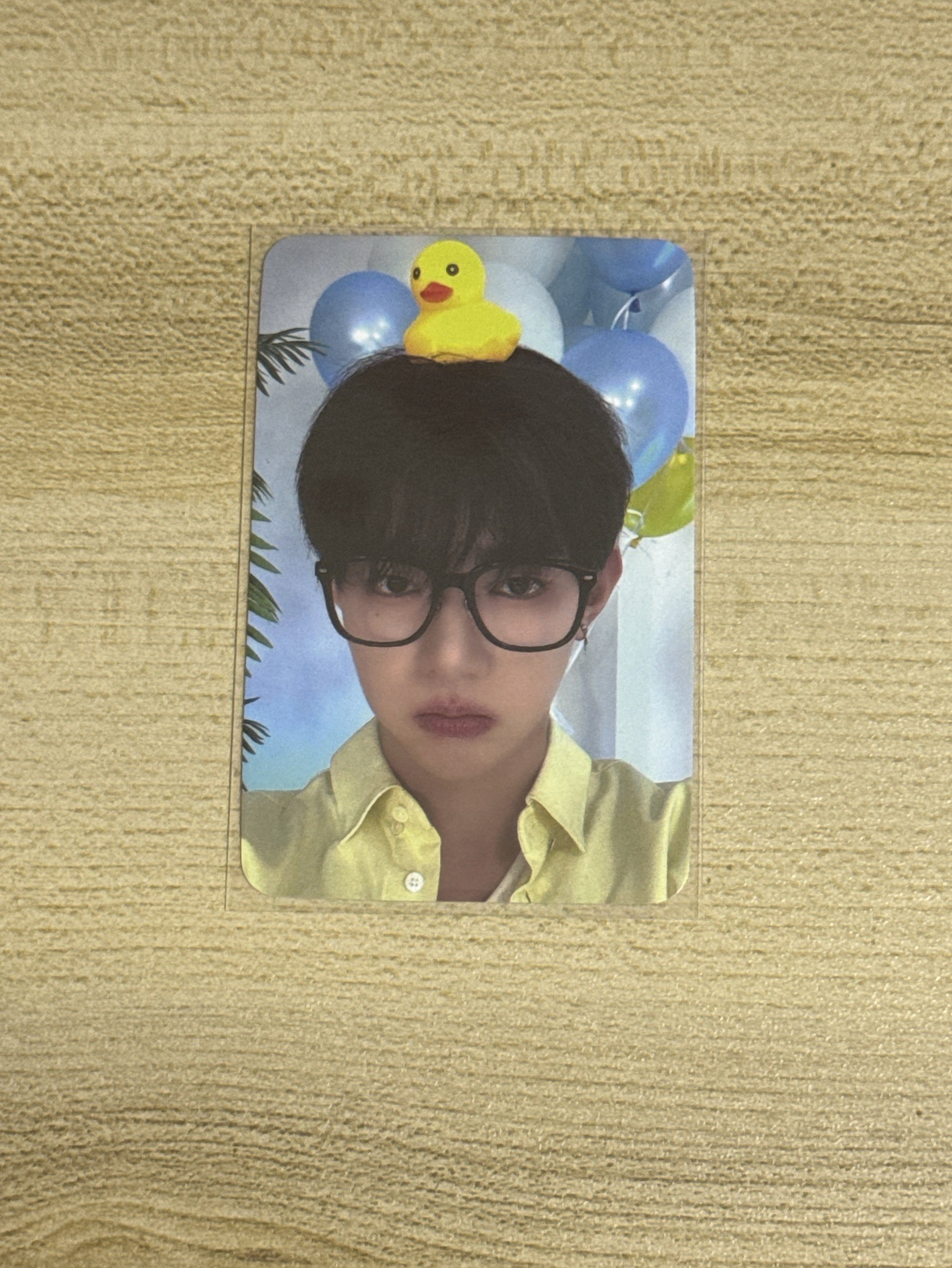 ZB1 章昊 迷四 SW 鴨子 特典卡