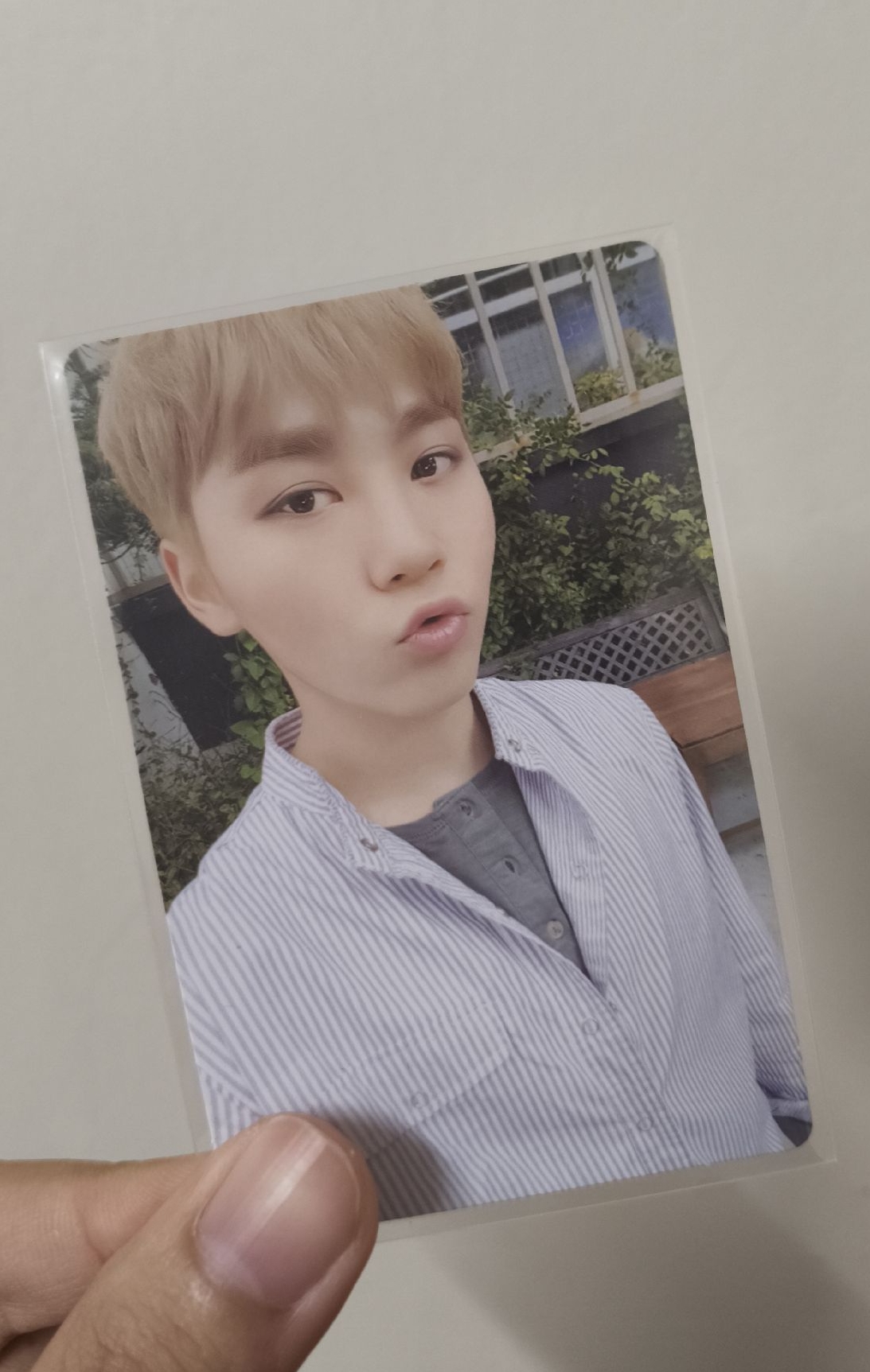 勝寛 mini 3 專卡