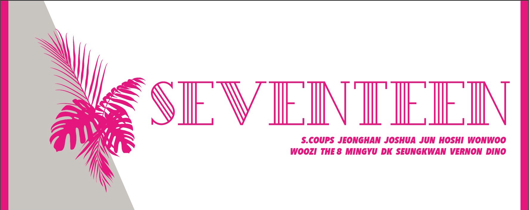 SEVENTEEN 2019 SUMMER GOODS