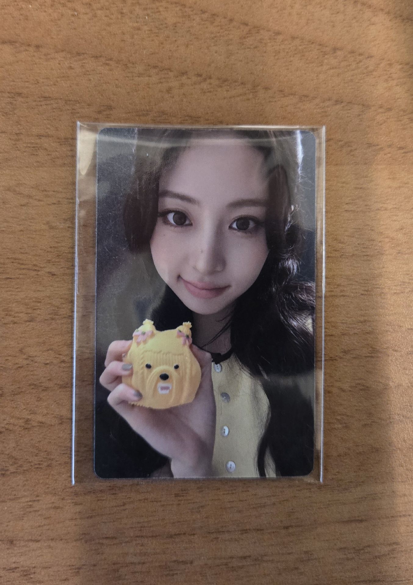 wvs 壓力球預售允