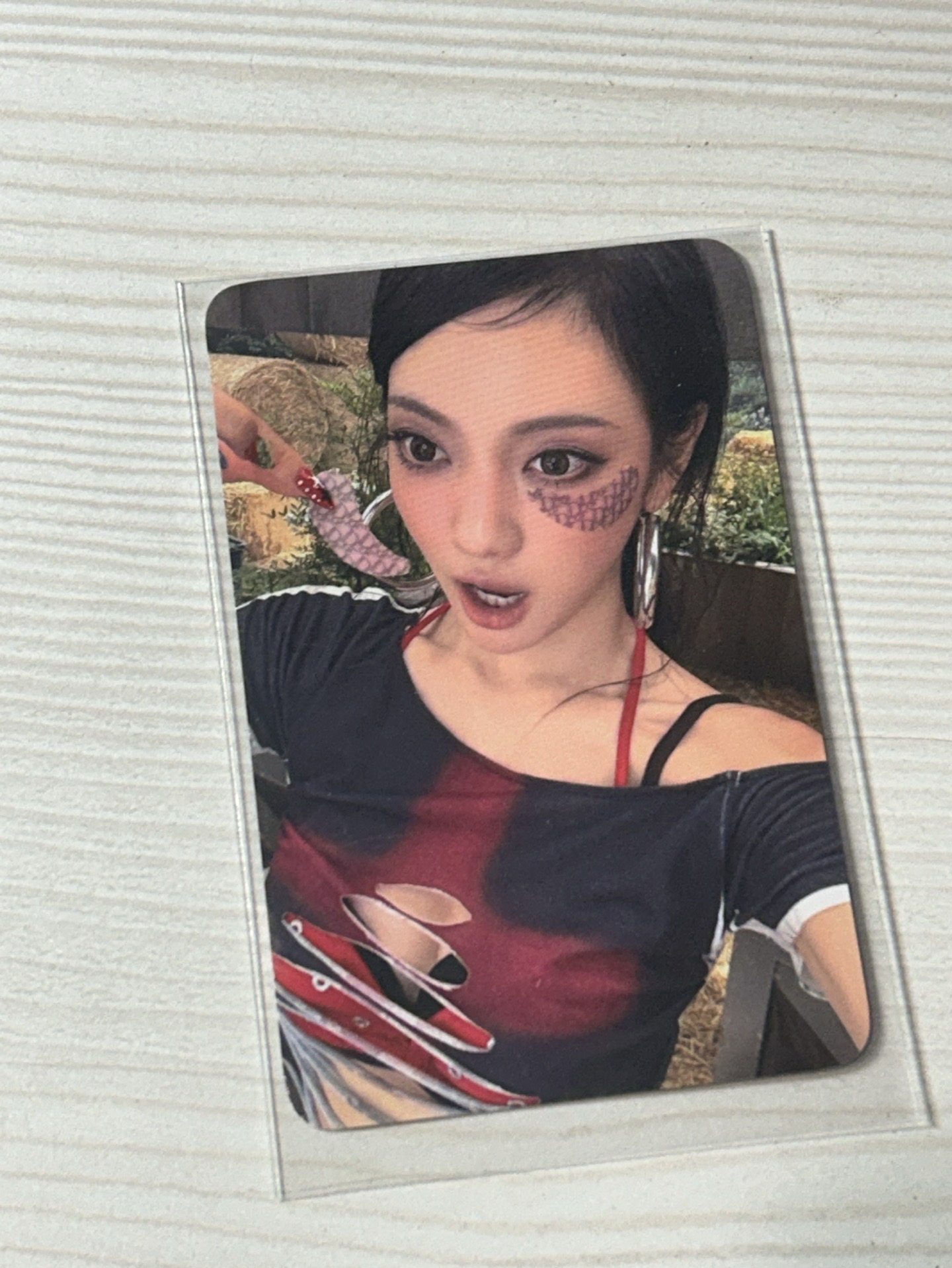 寧特典