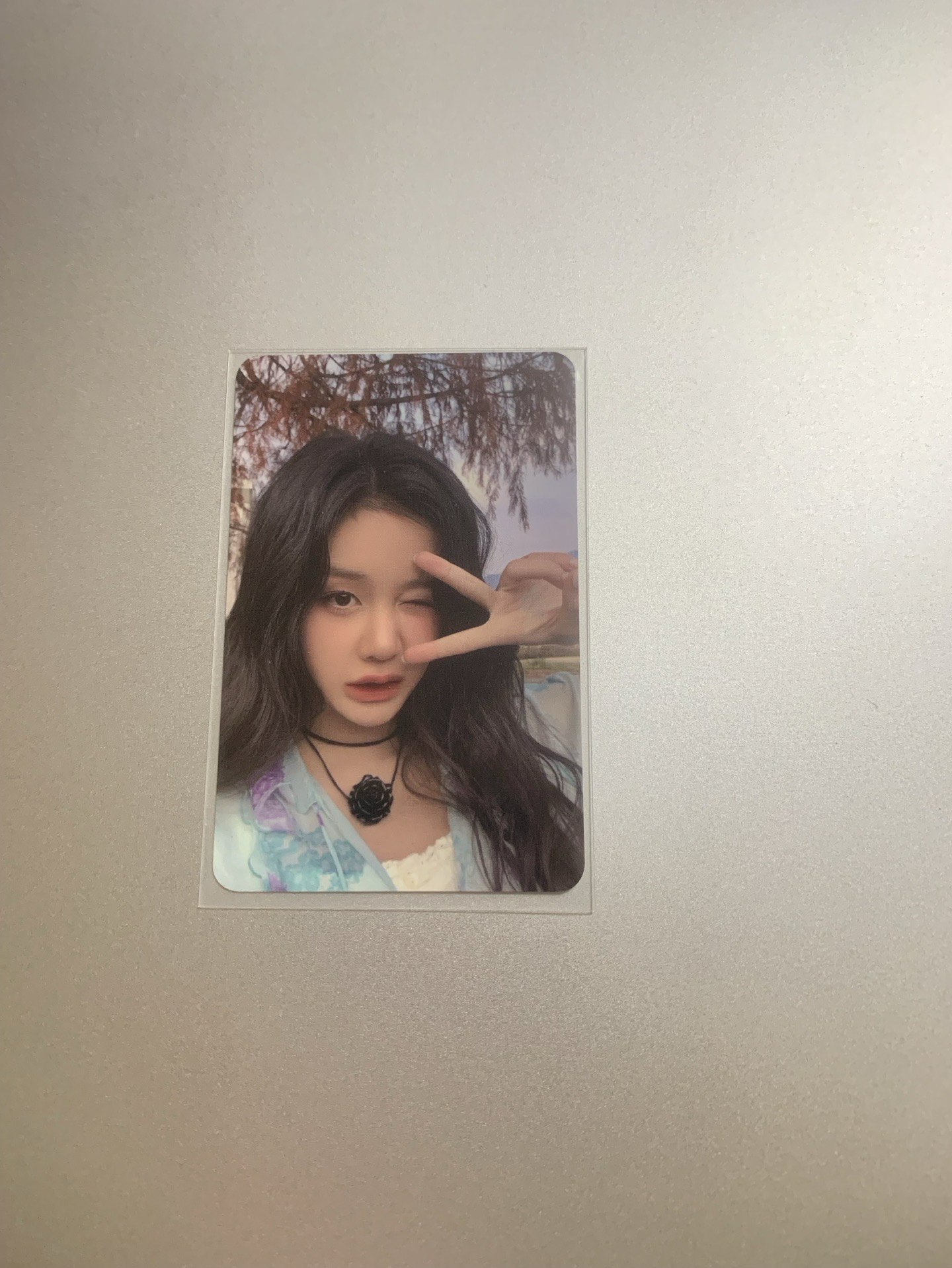 寶怪一週年yg線下特典