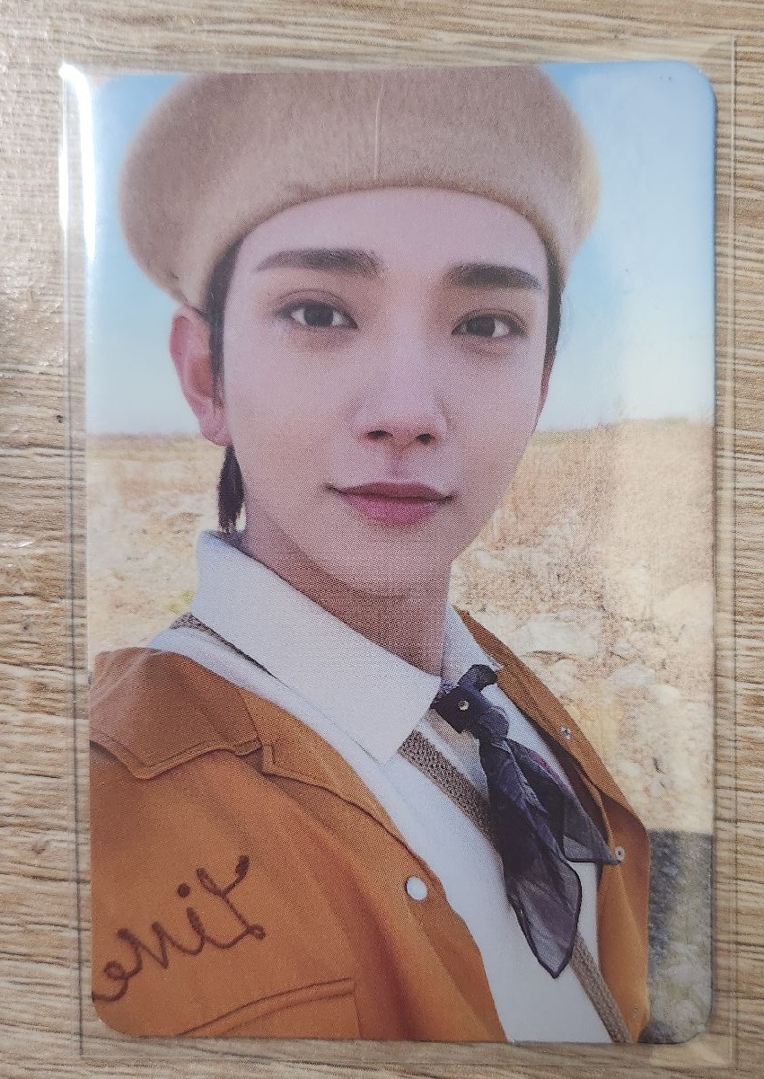 正四 貝雷秀 洪知秀 專卡