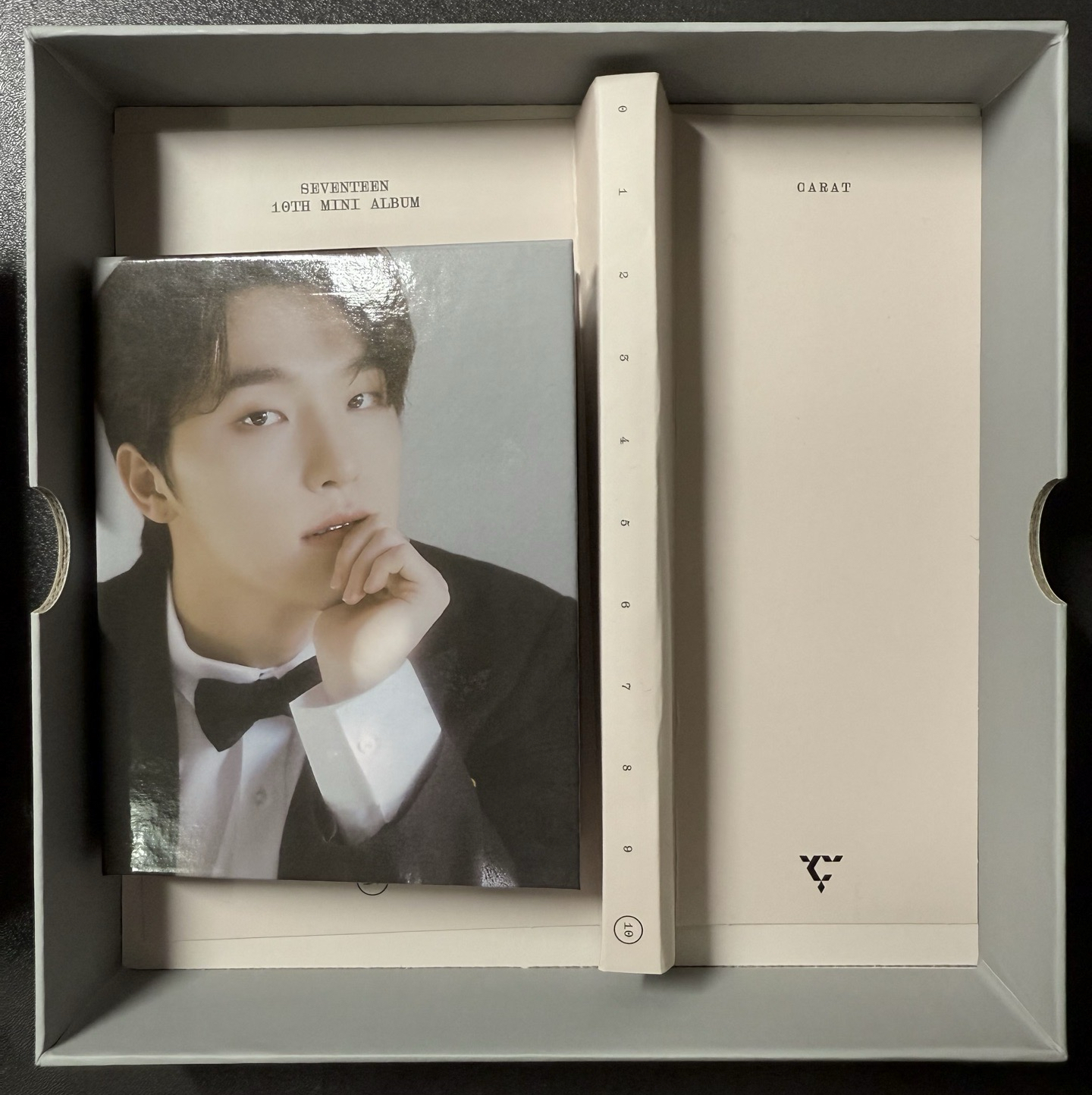 mini10 克拉盤 Dino封