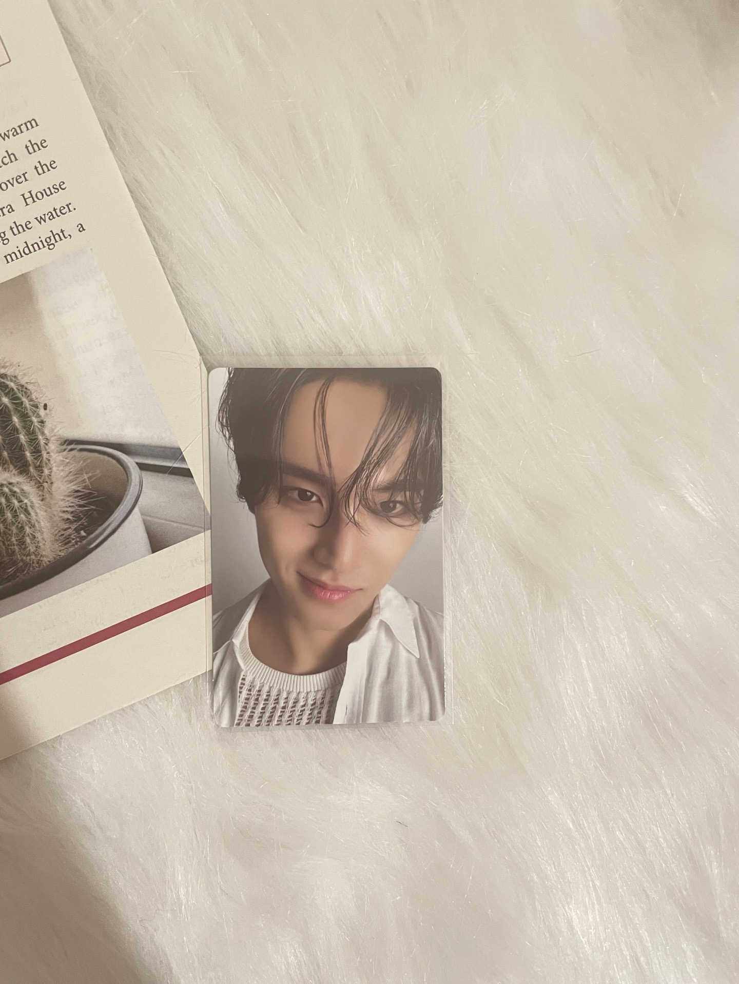 【SVT】mini11專輯卡 珉奎