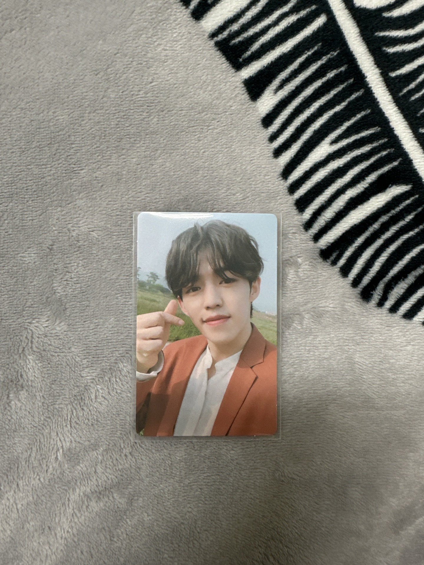 MINI5 專卡（哲）