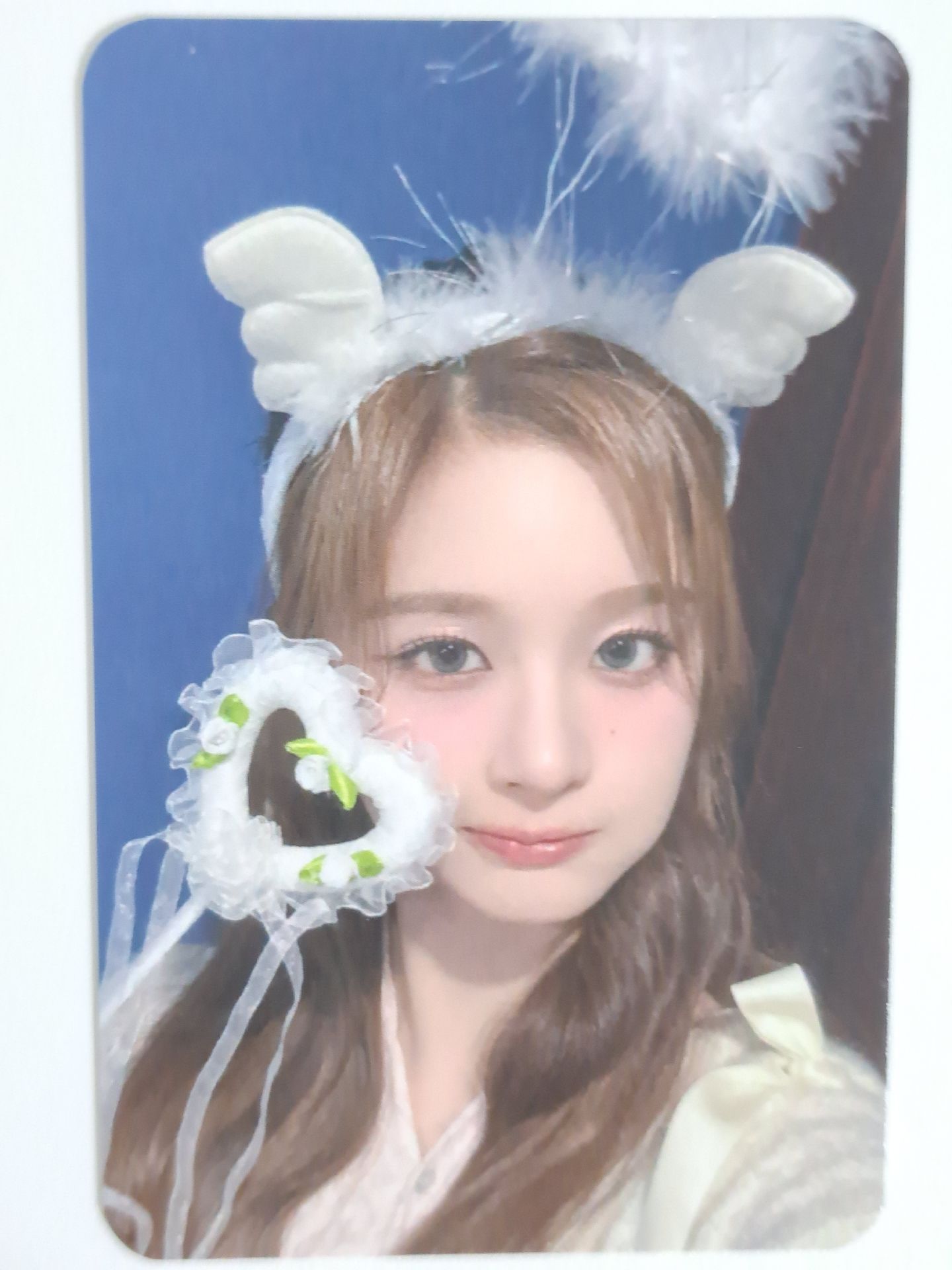 FORWARD sw 2.0 幸運卡 天使薛