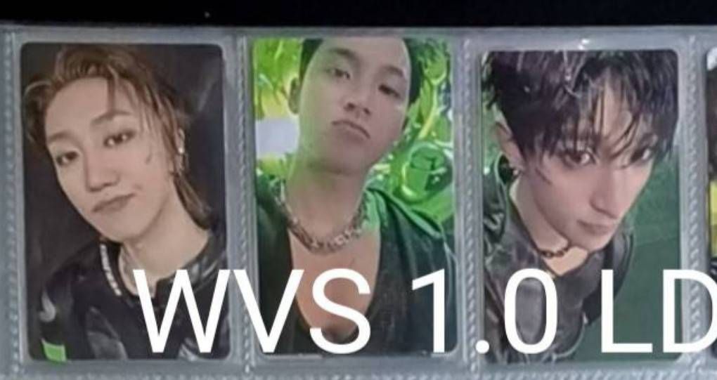 正五 WVS LD 1.0-八奎碩