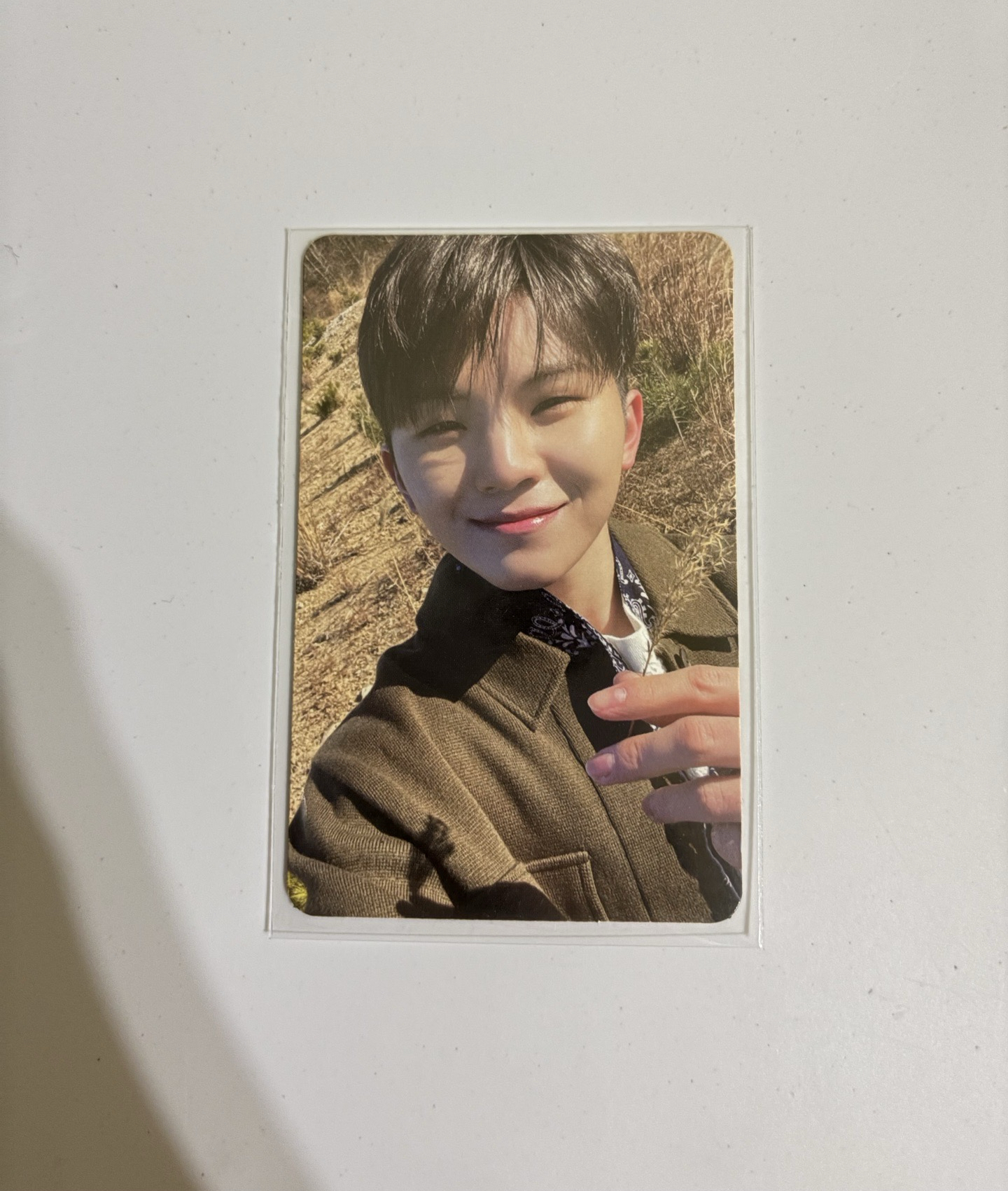 正規四 專卡 知勳