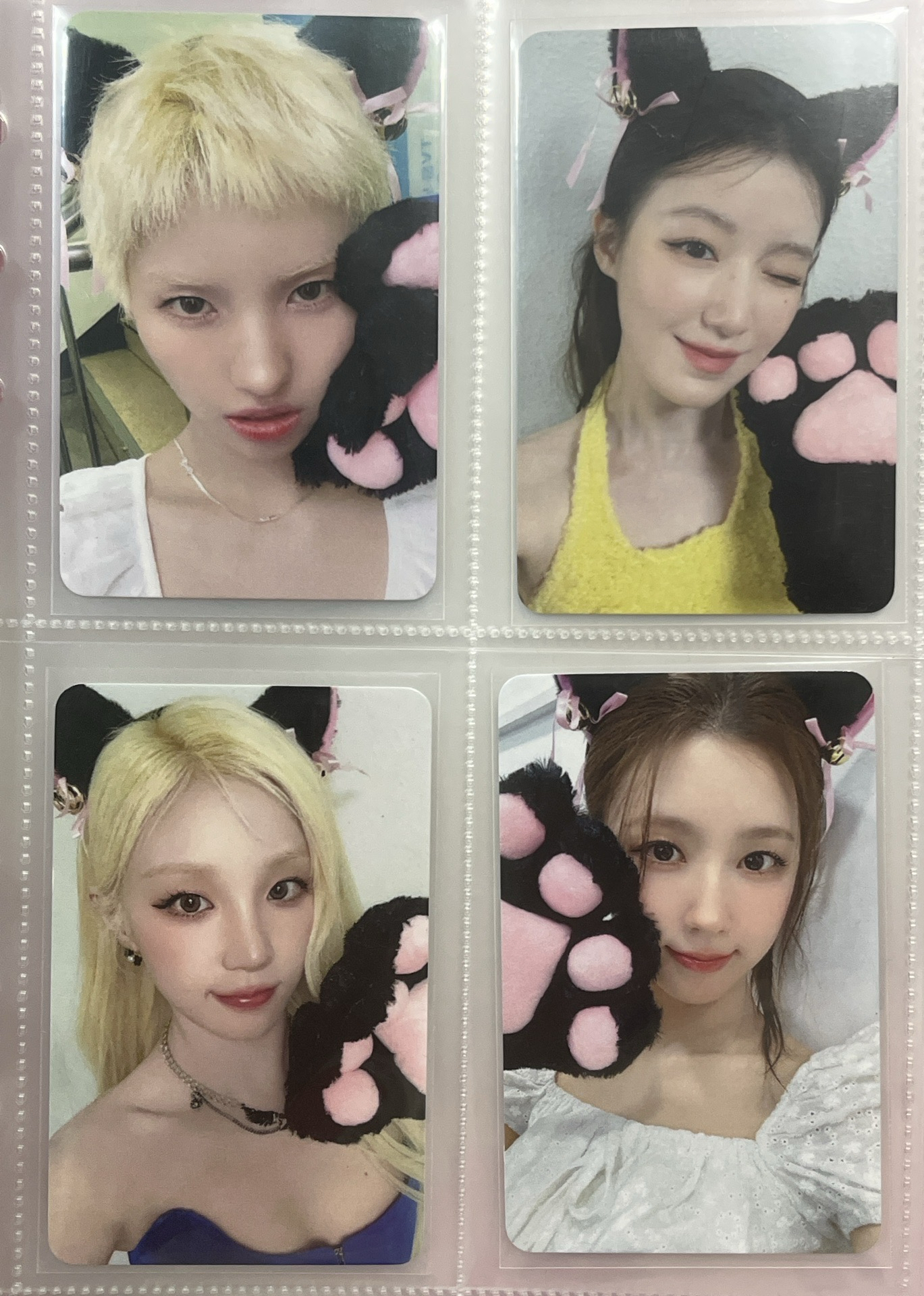 迷八mvvue3.0貓爪