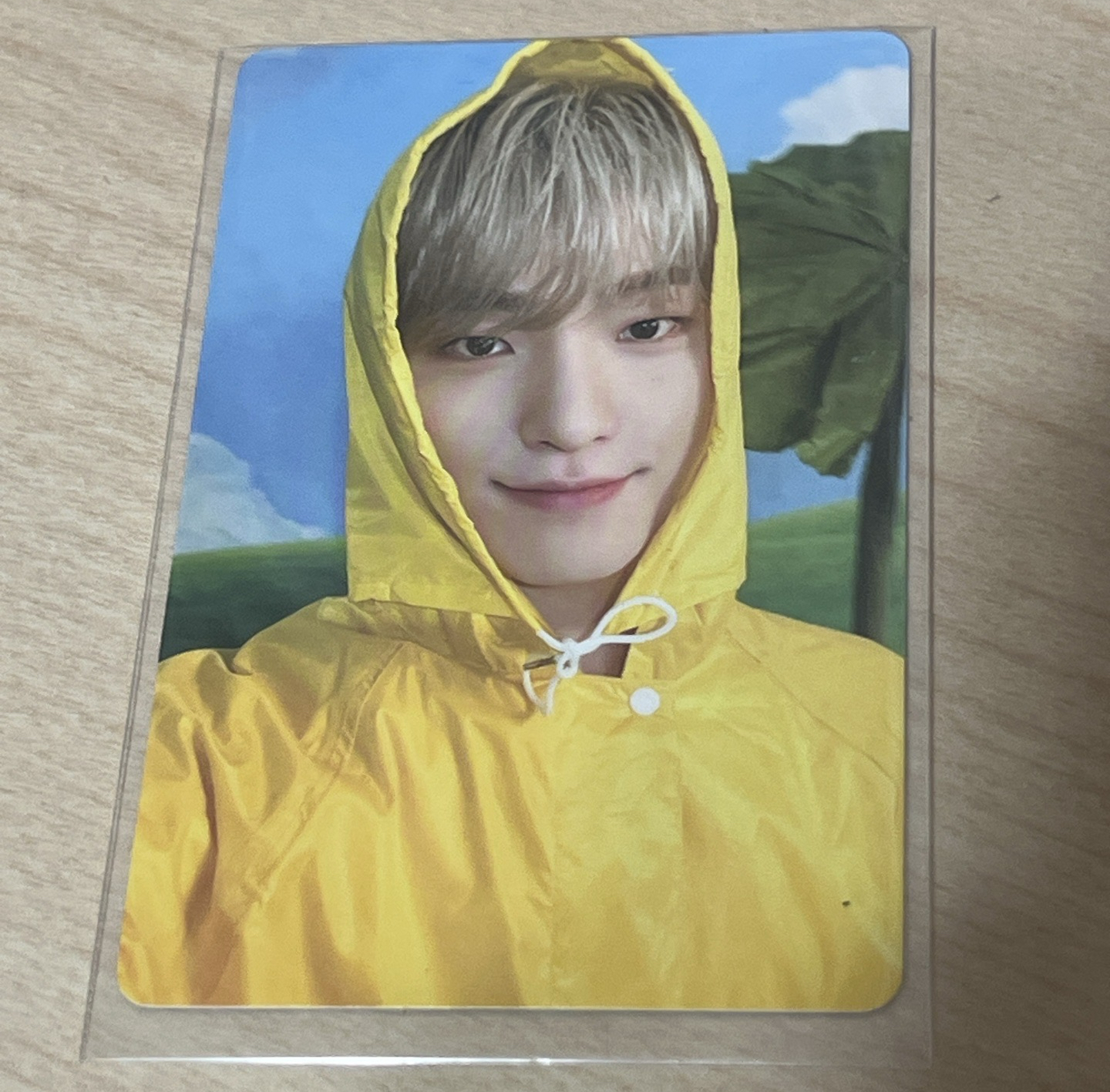 MINI11 專輯卡 ｜CARAT ver.