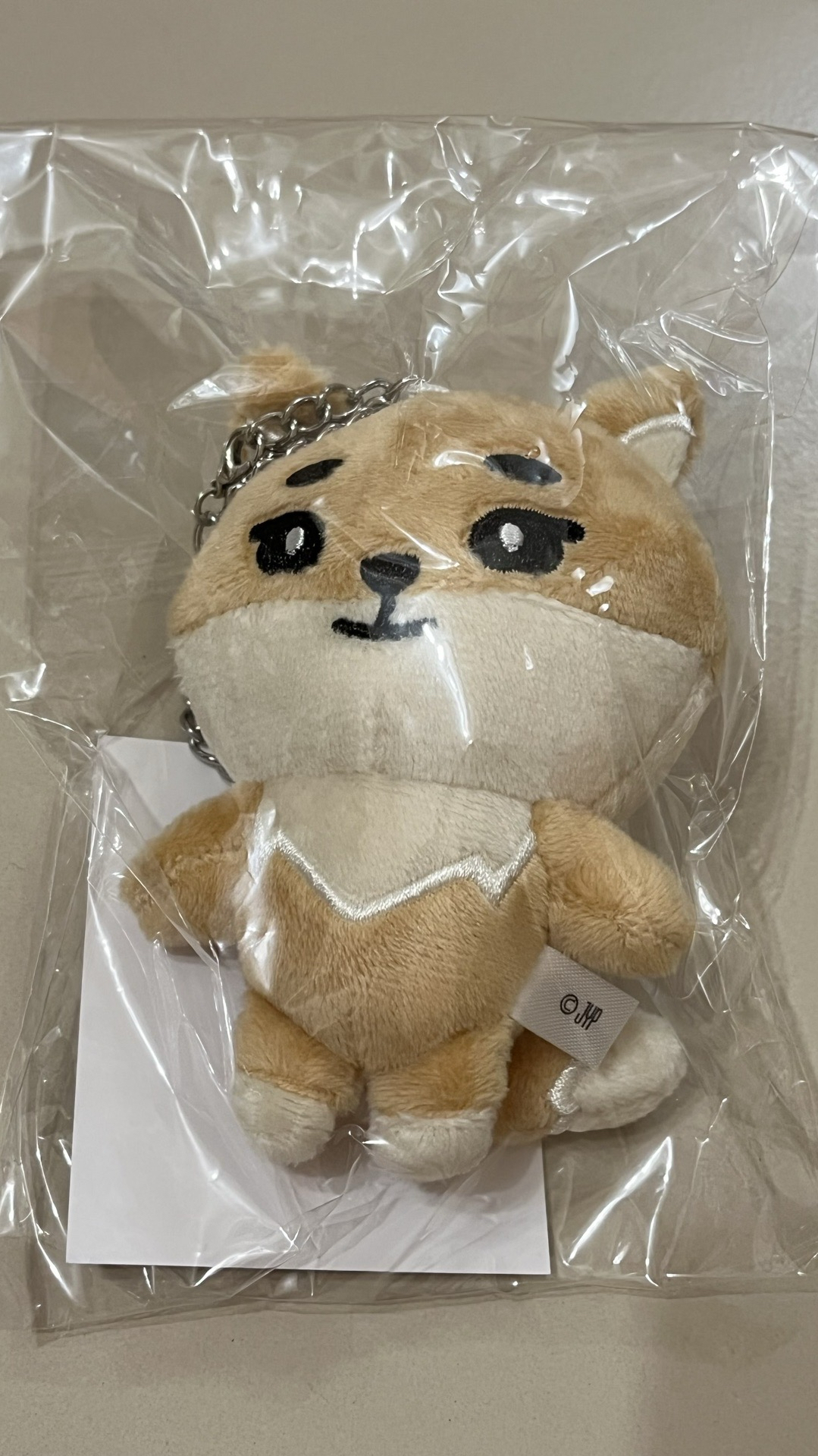 DAY6 ke 日周鏈條娃