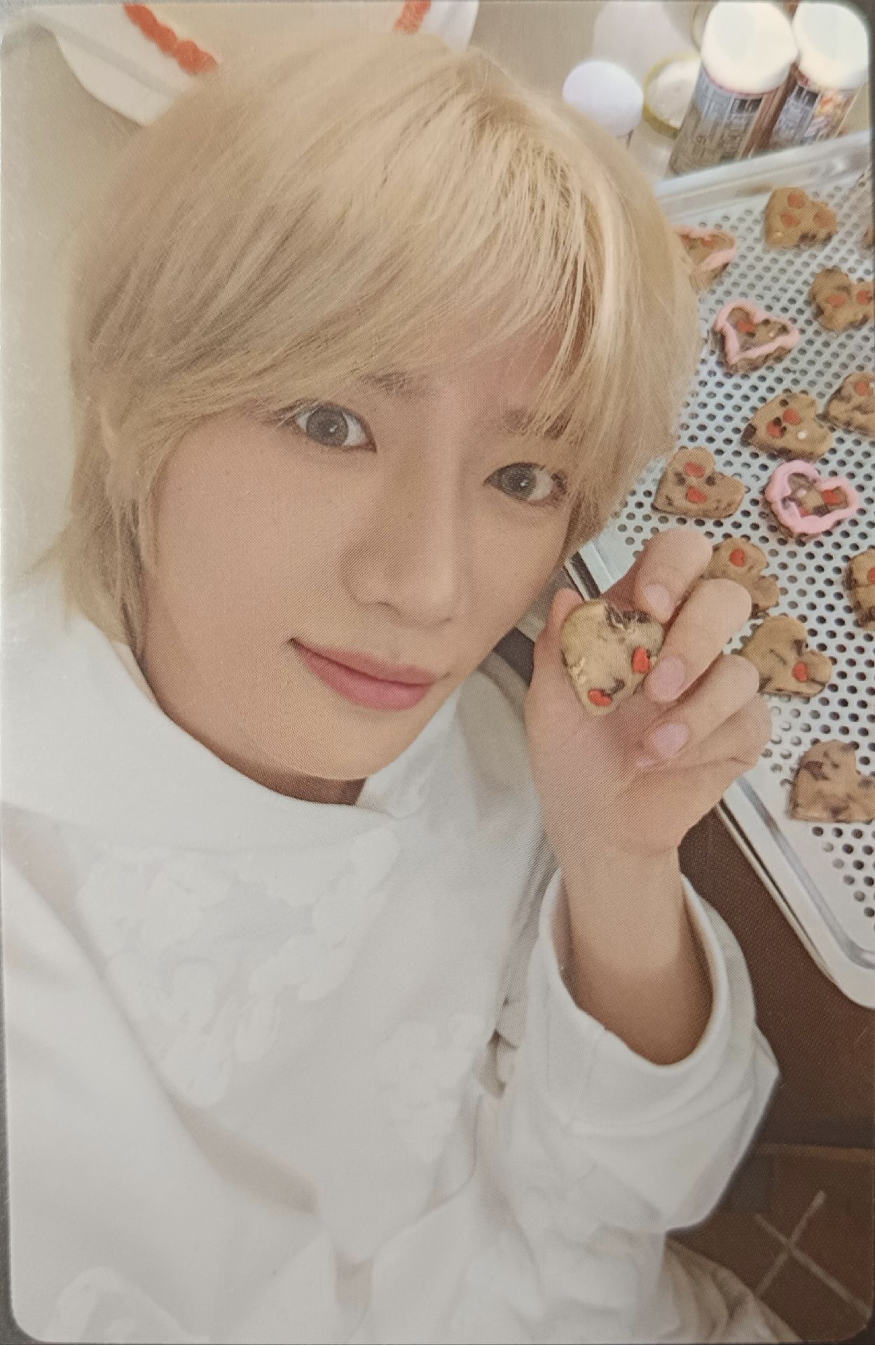 迷七 專卡 Merch版 圭