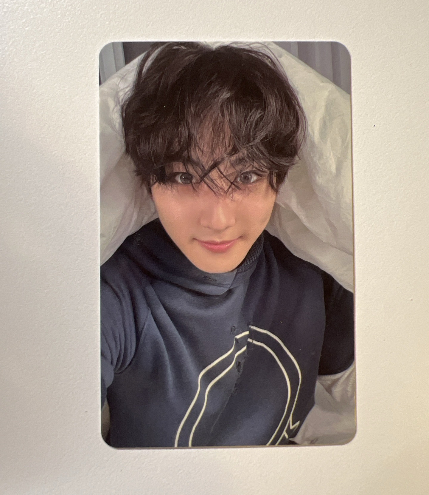 enhypen 梁禎元專卡