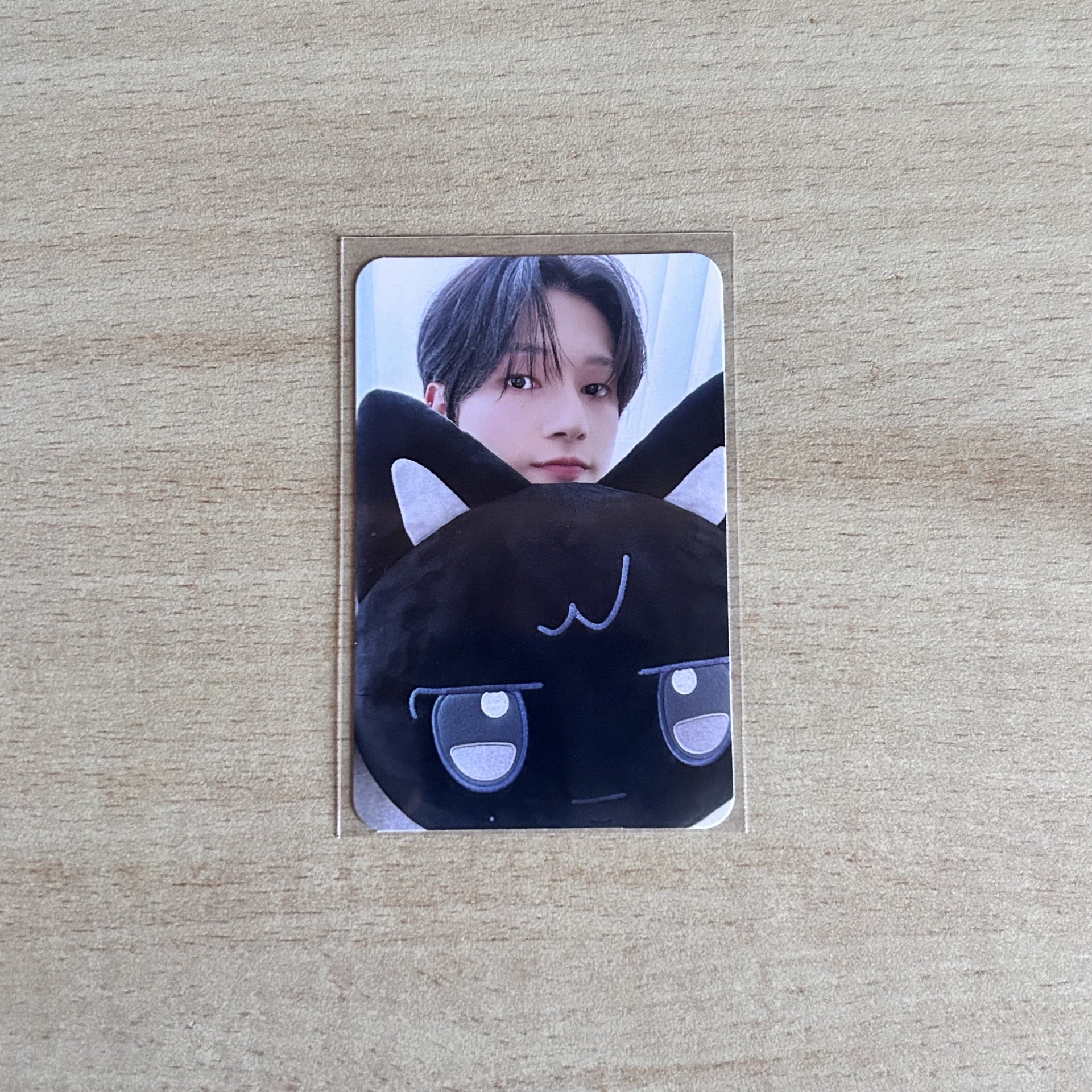 ANITEEZ 友榮抱枕卡