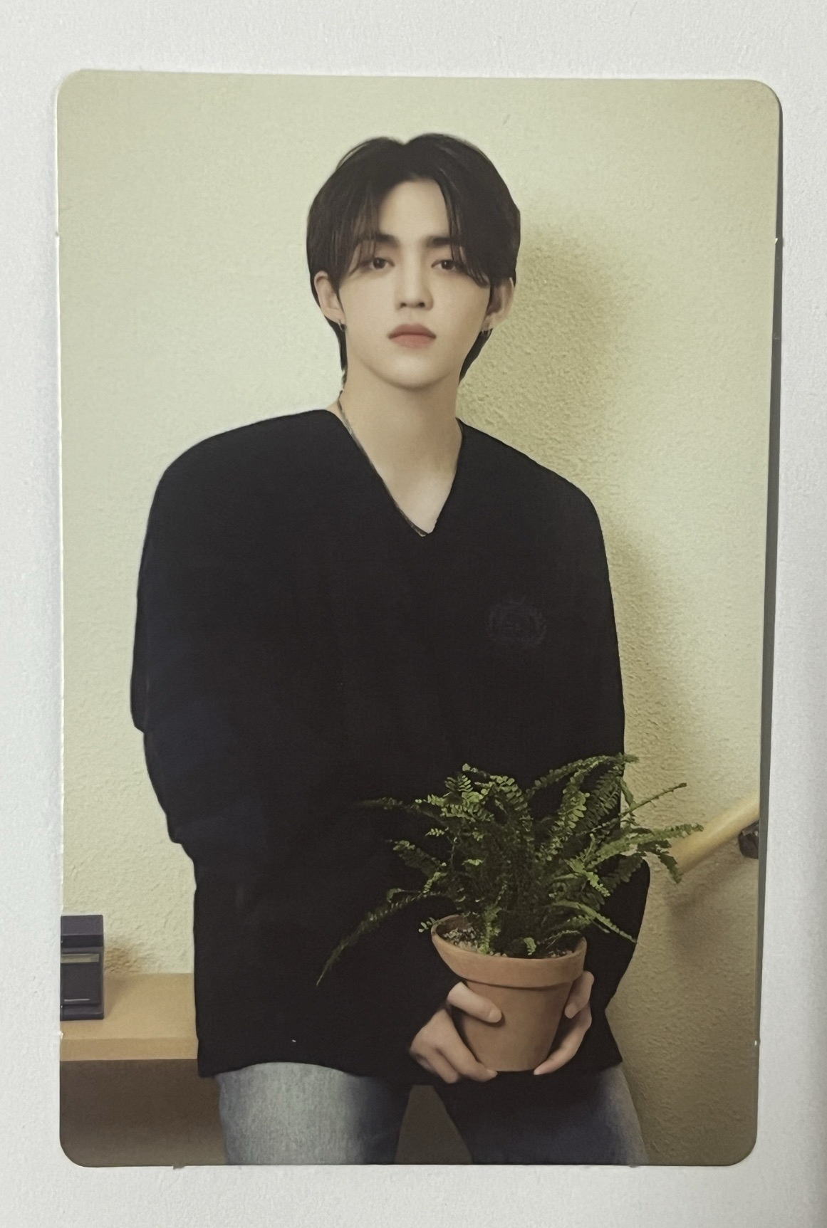 2024克拉島卡包｜S.coups