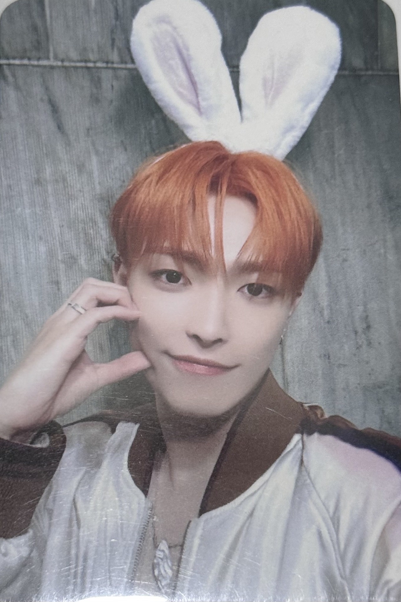 金弘中｜松鼠長出了兔耳