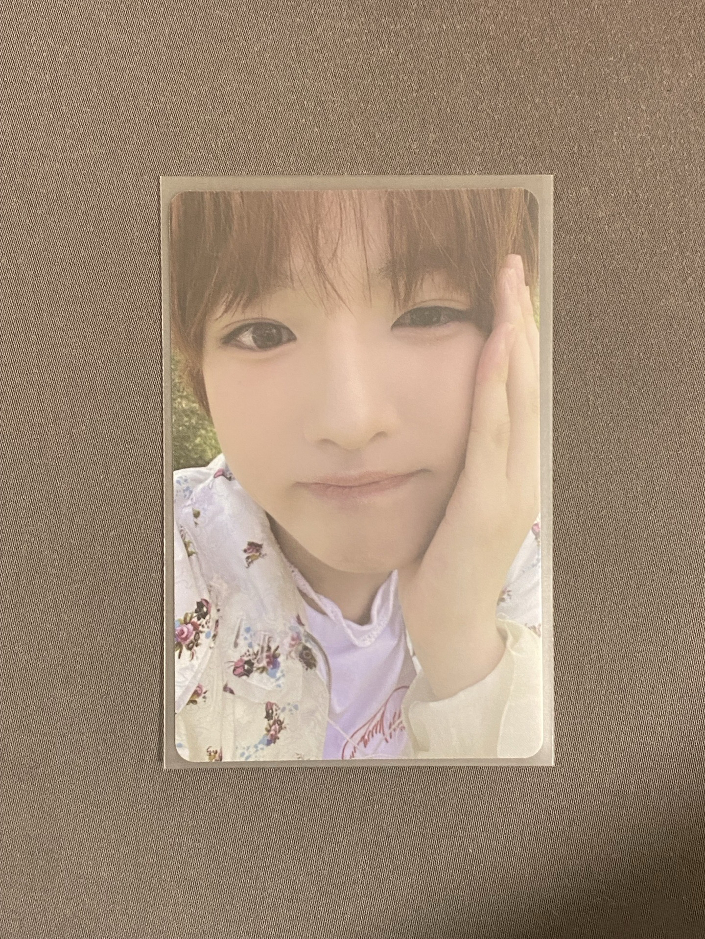 NCT WISH color surf ver.sakuya