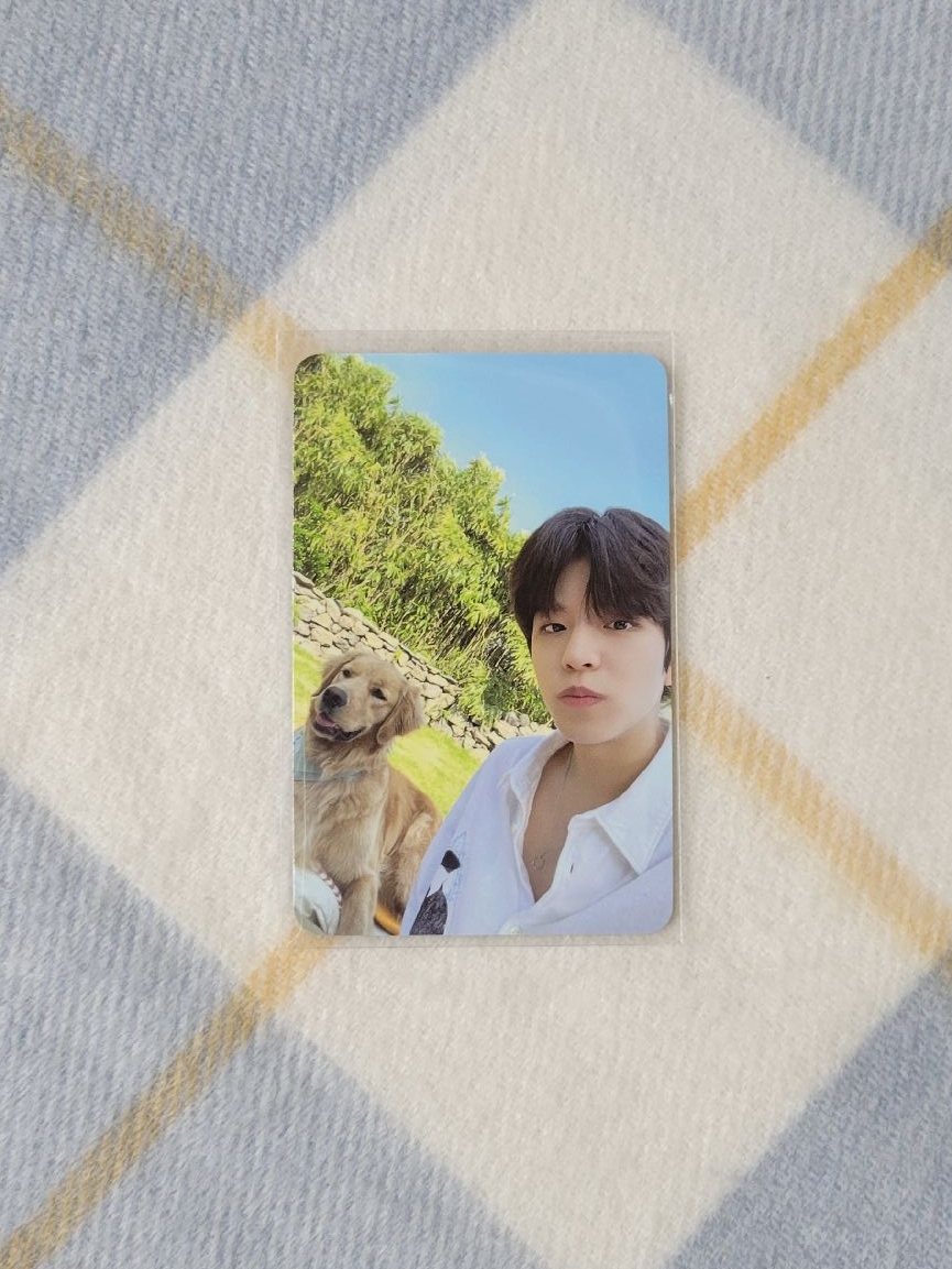 Stay in STAY in Jeju 狗次方3.0(小盤)