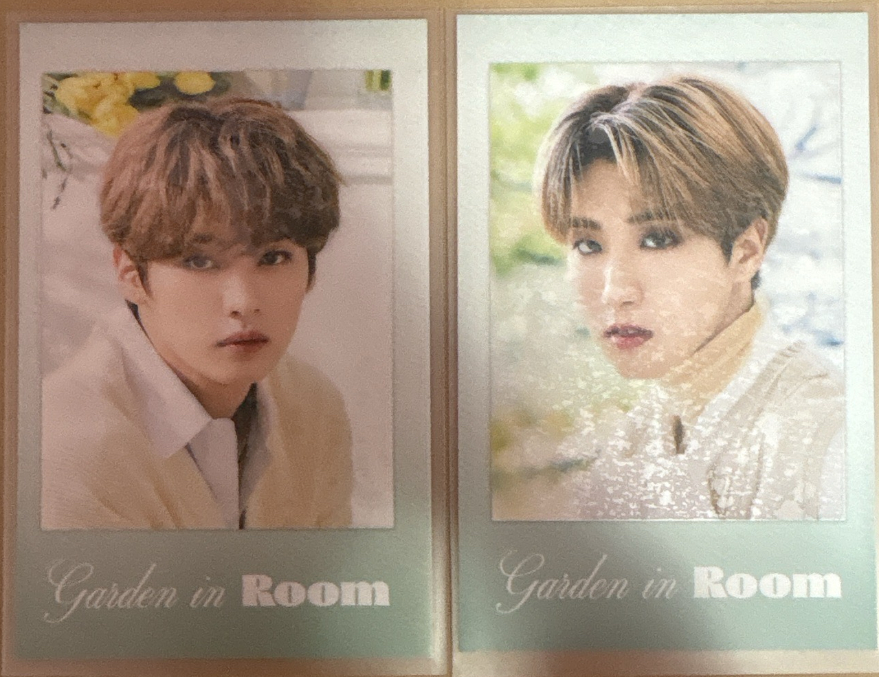 Stray kids 李旻浩 韓知城 2022 年曆 年曆卡 Garden in room ver.