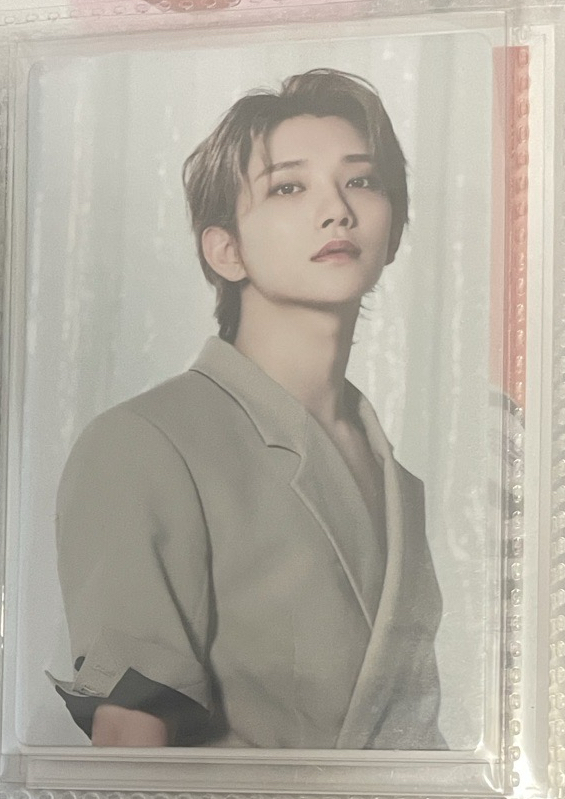 洪知秀 Be The Sun 卡包卡