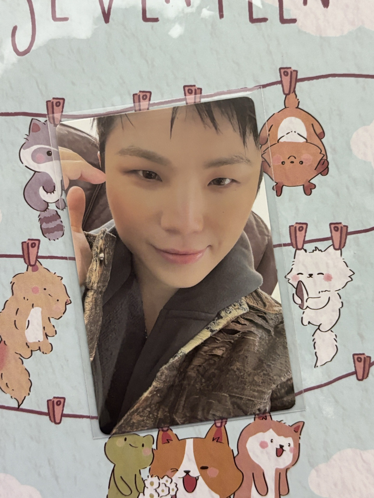 🤍正五 wvs特典 勳